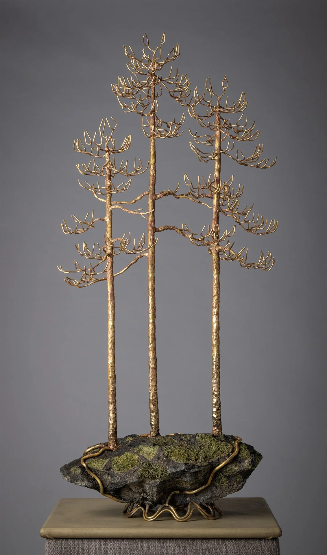 01 PonderosaPineTrio_SM_2025 Zapp - Sandy Muckleroy.jpg