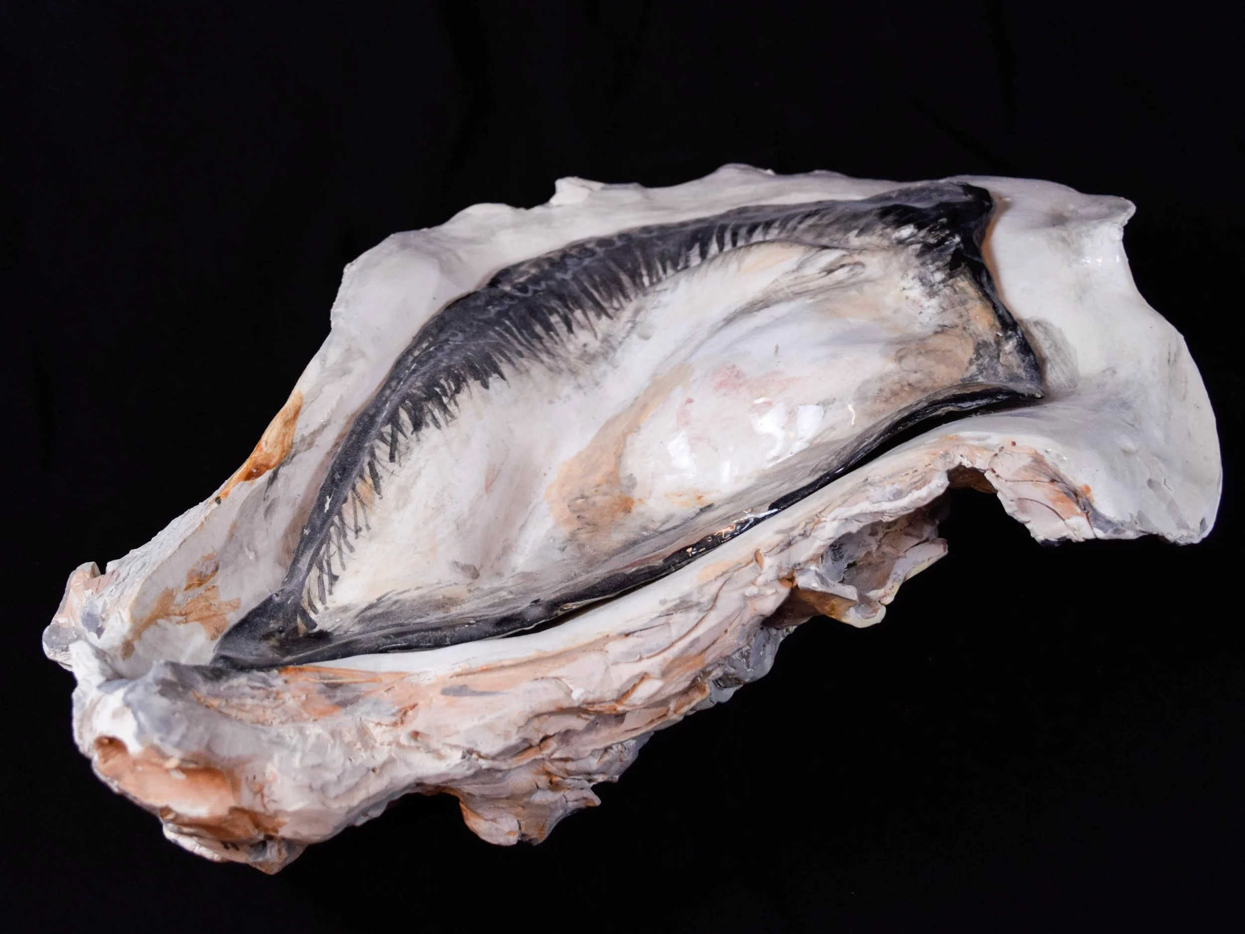 Jane_Eggers_Oyster_1 - Jane Eggers.jpg