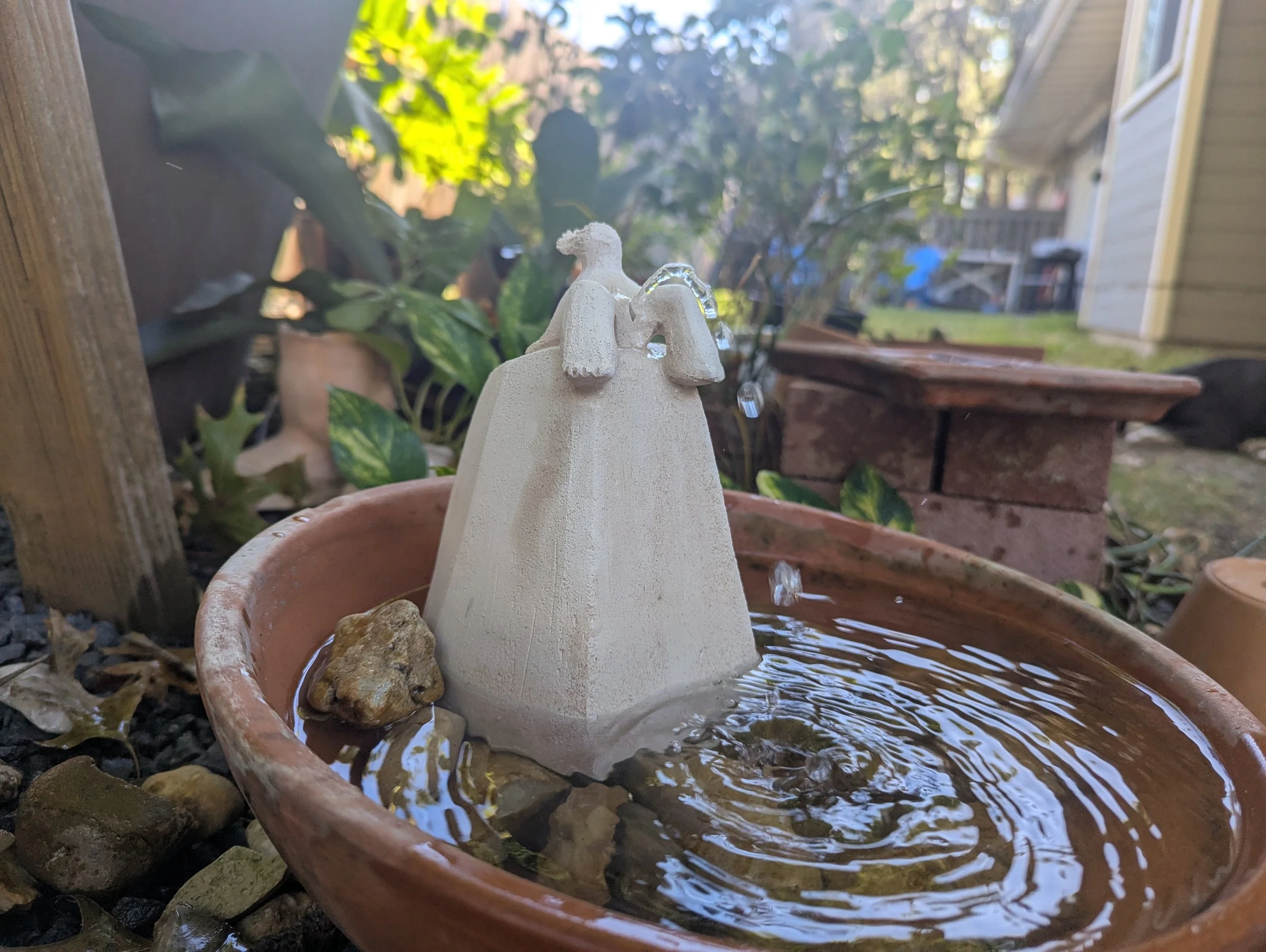 PXL_20251019_212058149.MP - Clara Fonte Boa.jpg