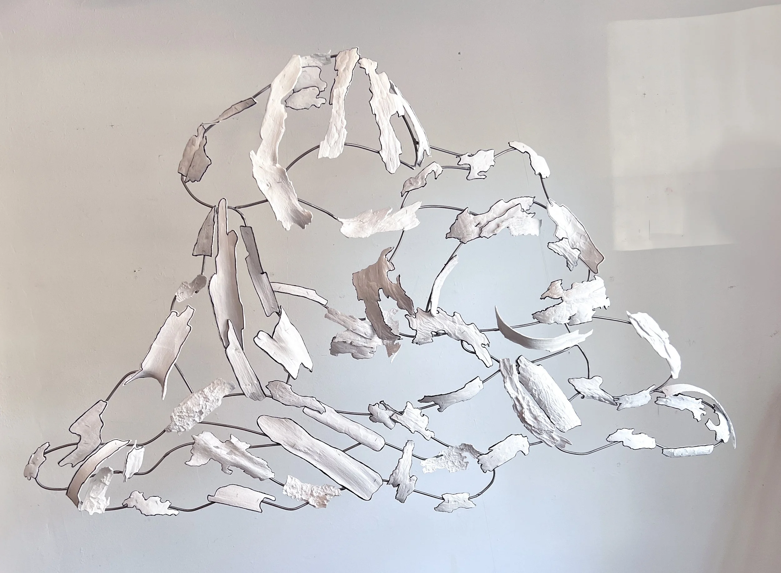 Shakti_Mirage_L-2 copy - Shakti Sarkin.jpg