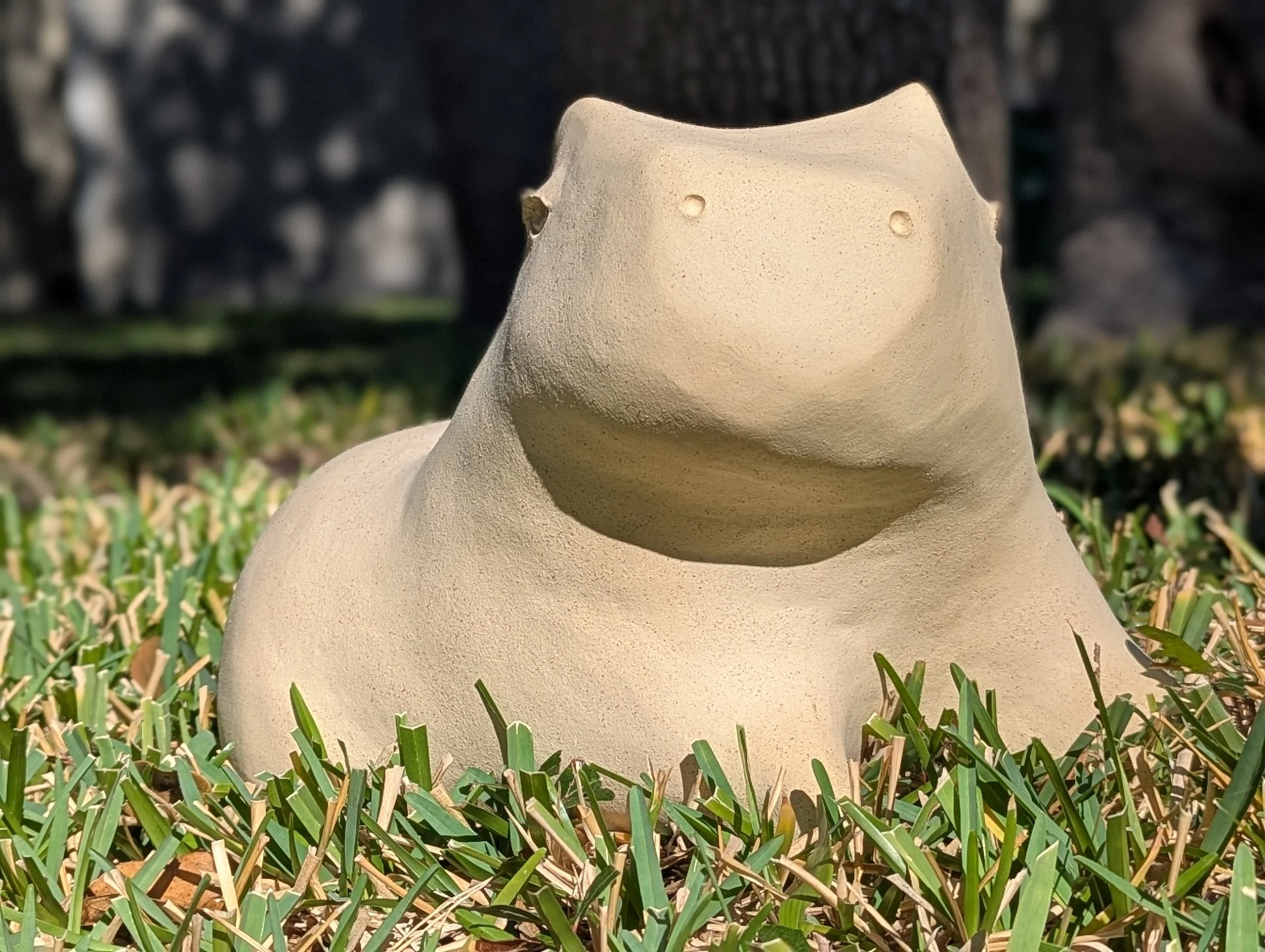 PXL_20251207_192939168.PORTRAIT - Clara Fonte Boa.jpg