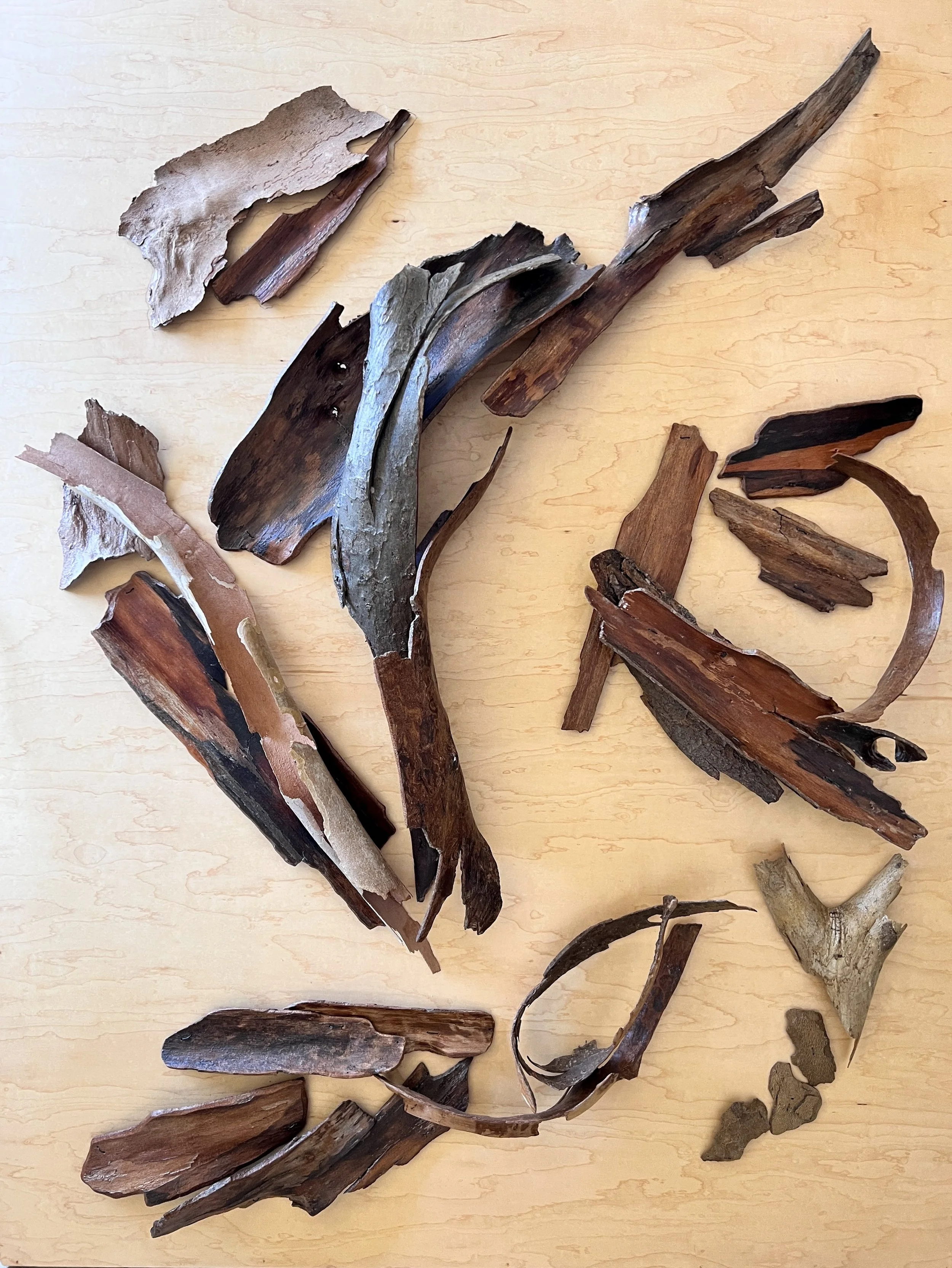 Shakti_ChannelsforWater_L copy - Shakti Sarkin.jpg