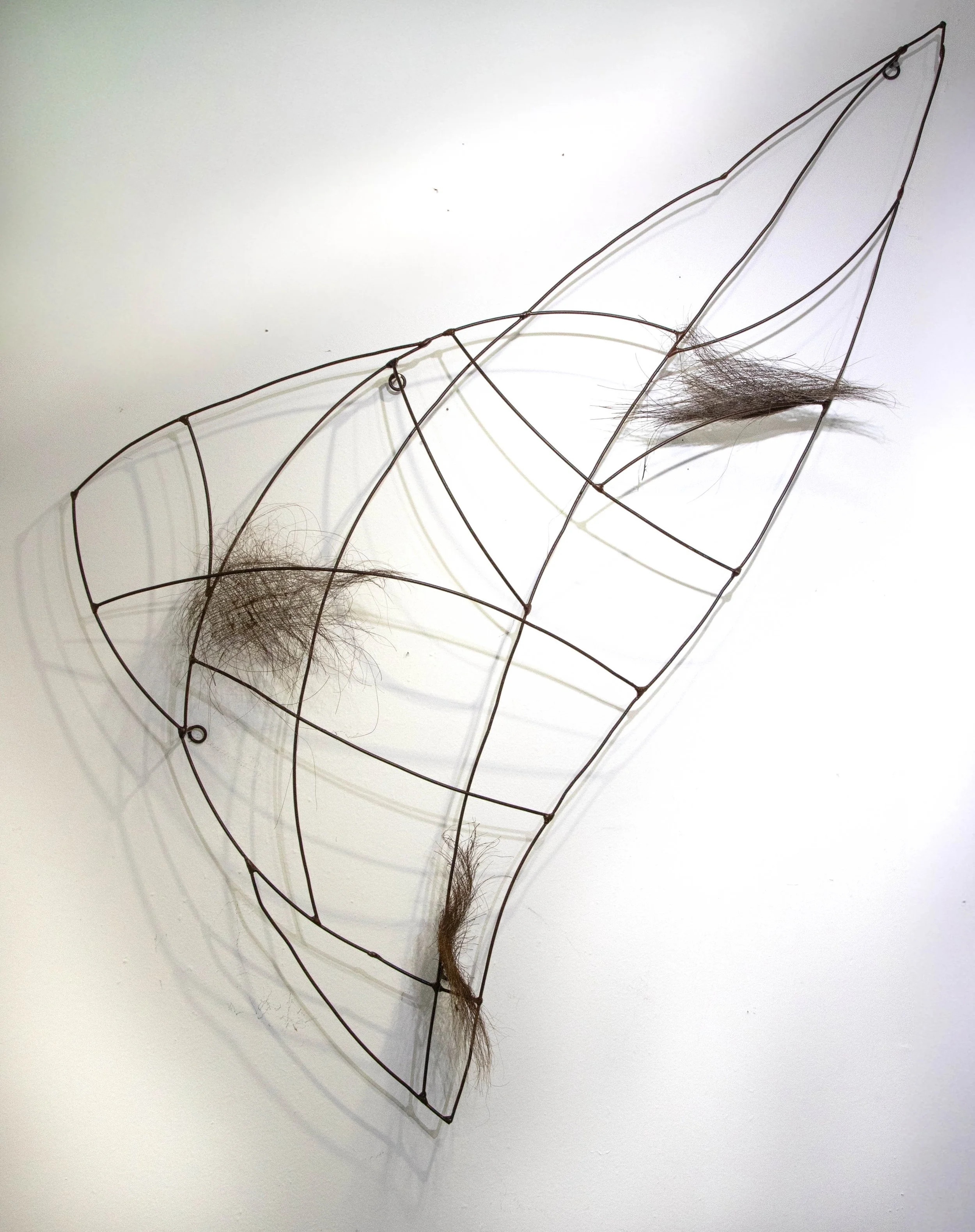 Shakti_Wing_4911_W copy - Shakti Sarkin.jpg