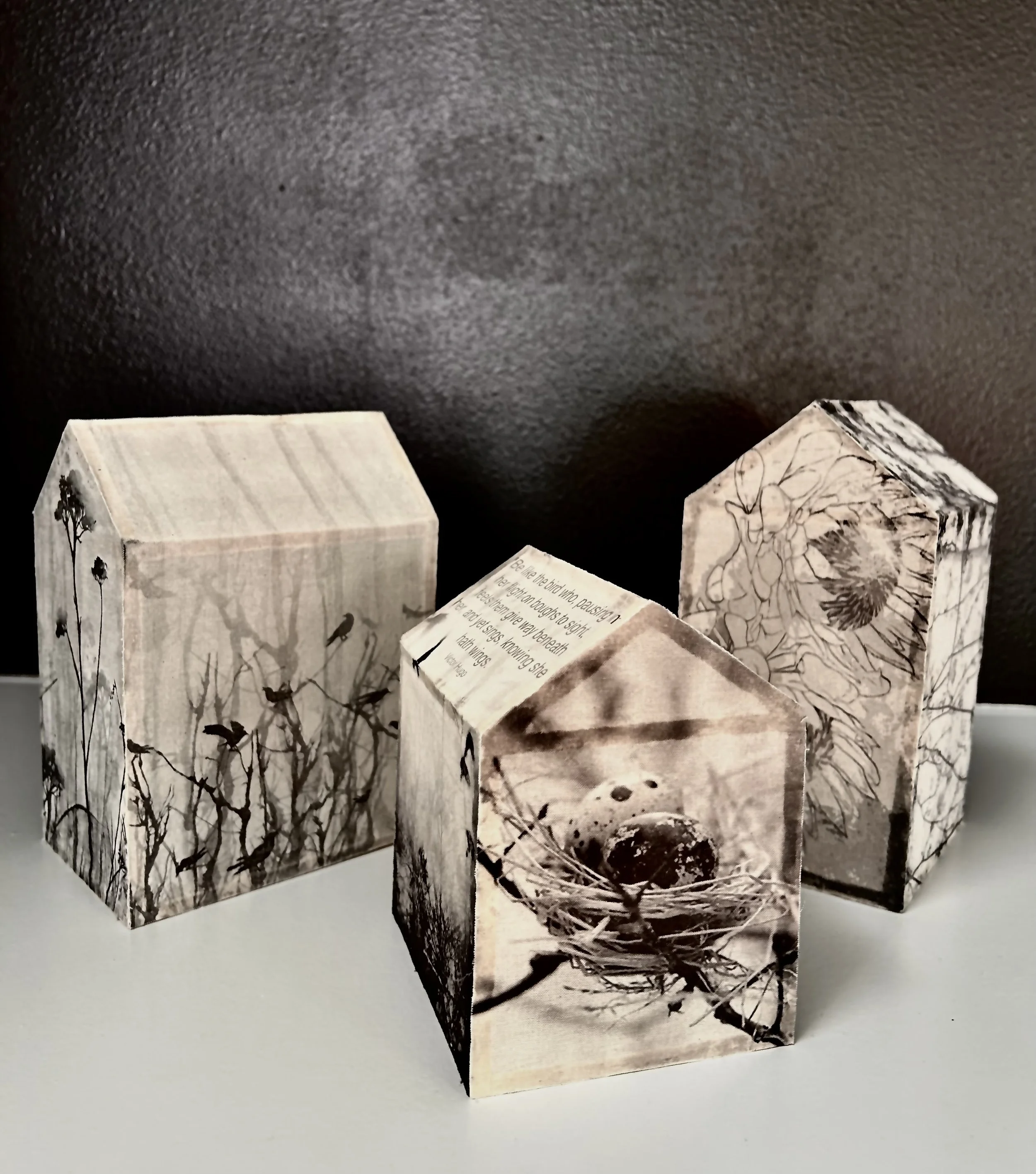 IMG_3067 - Julie Williams.jpeg