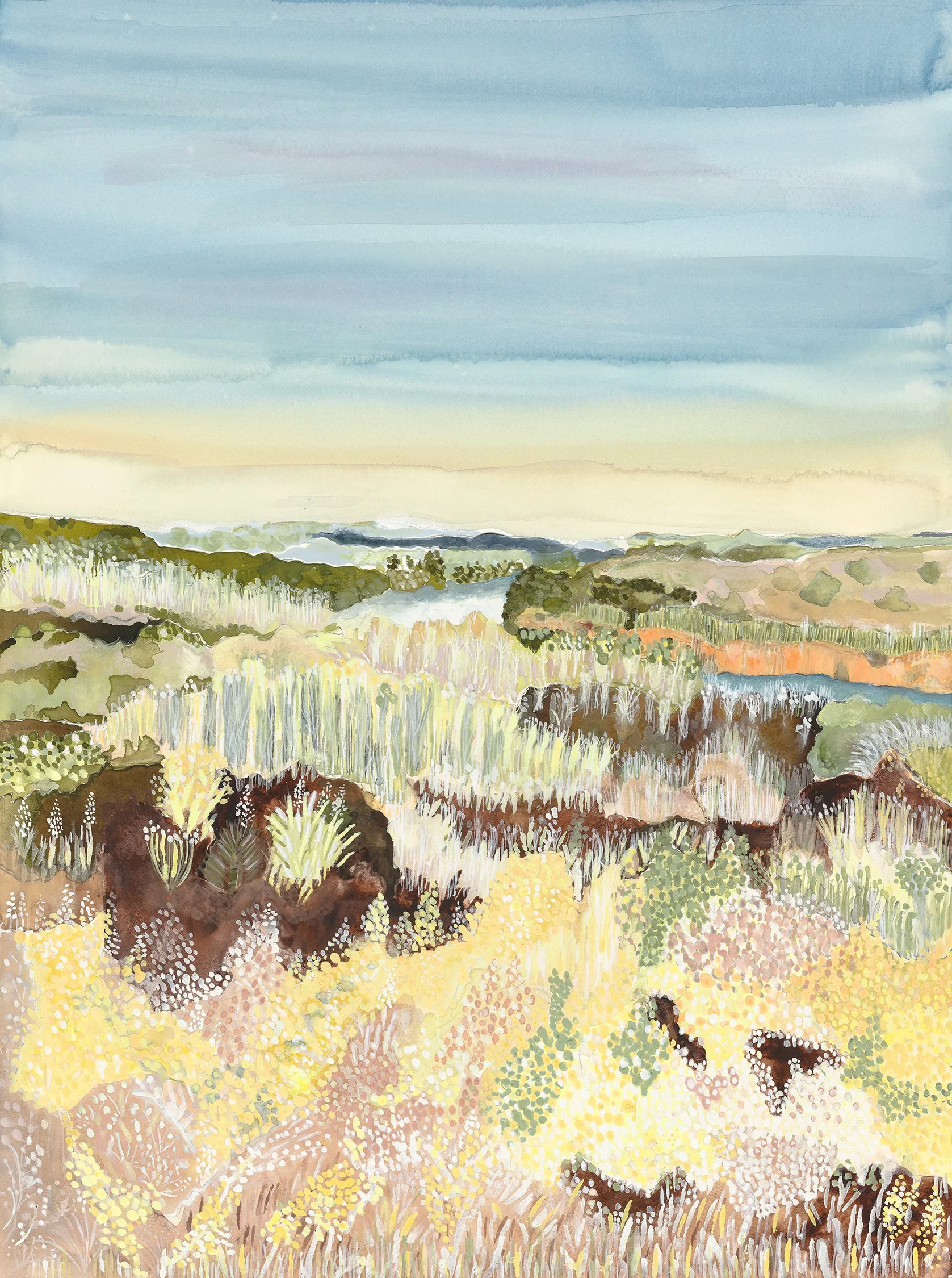 Laura Lynn Johnson San Ignacio small - Laura Johnson.jpeg