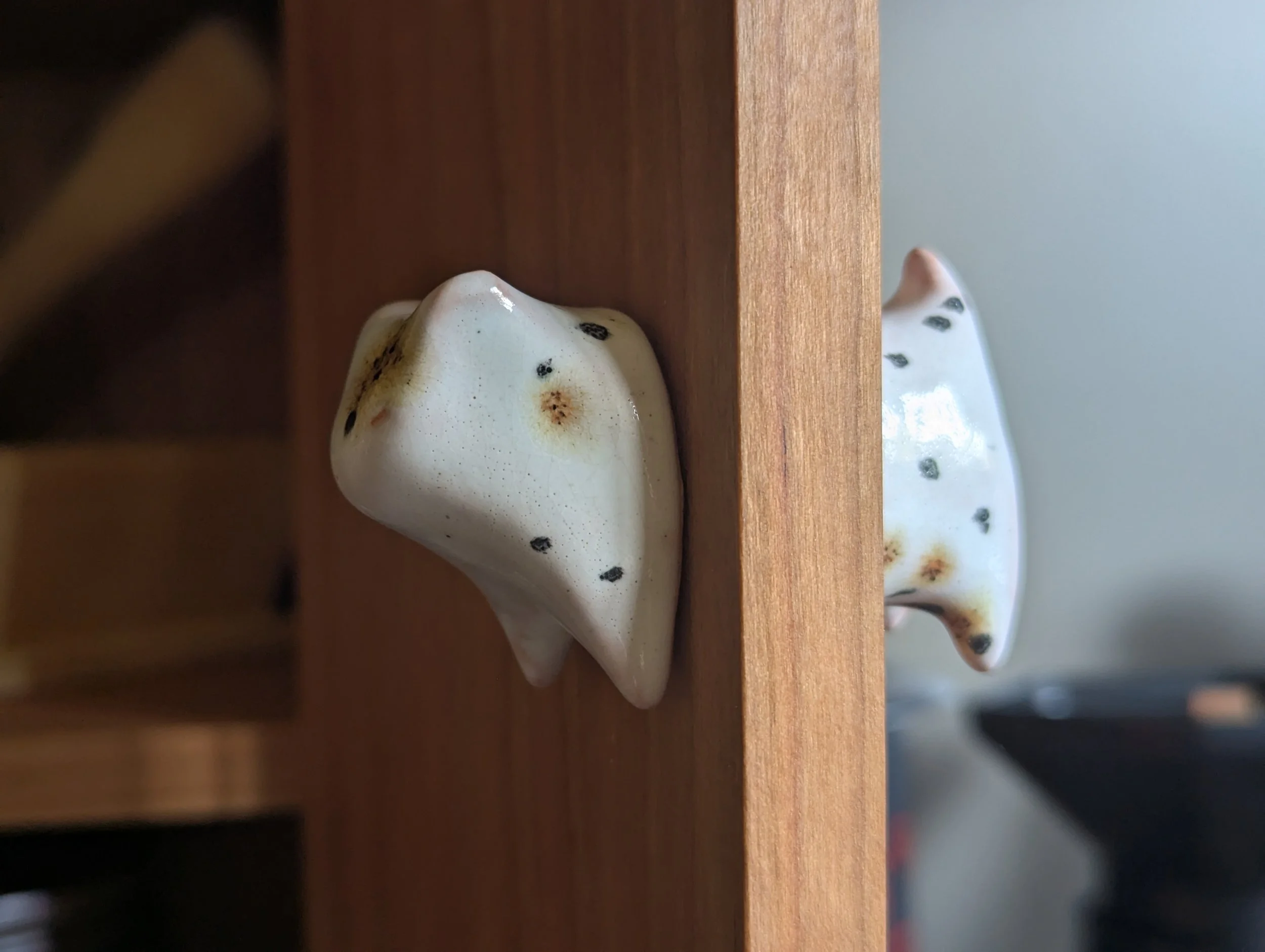 PXL_20251116_193613095 - Clara Fonte Boa.jpg