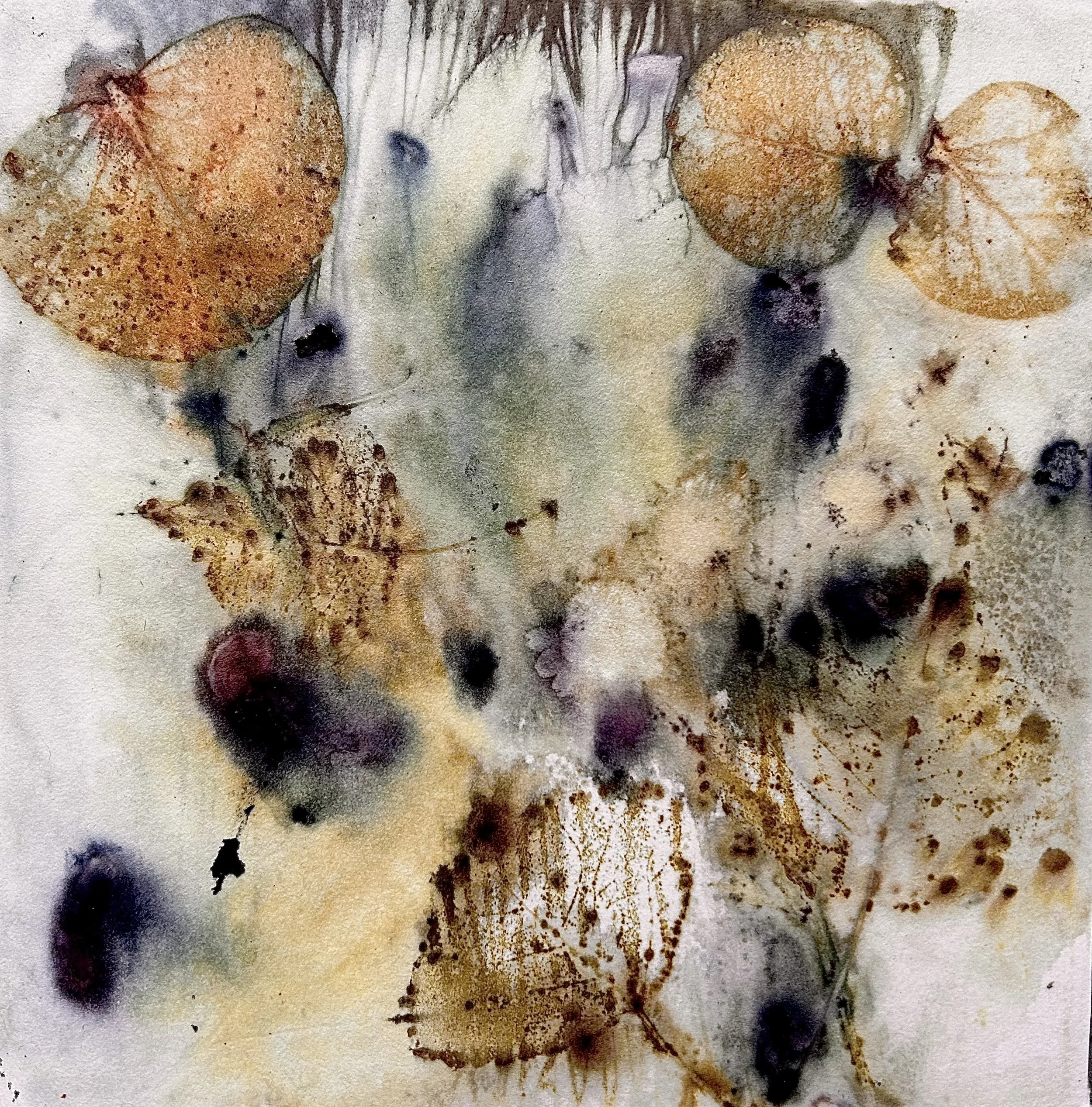 IMG_7106 - Julie Williams.jpeg