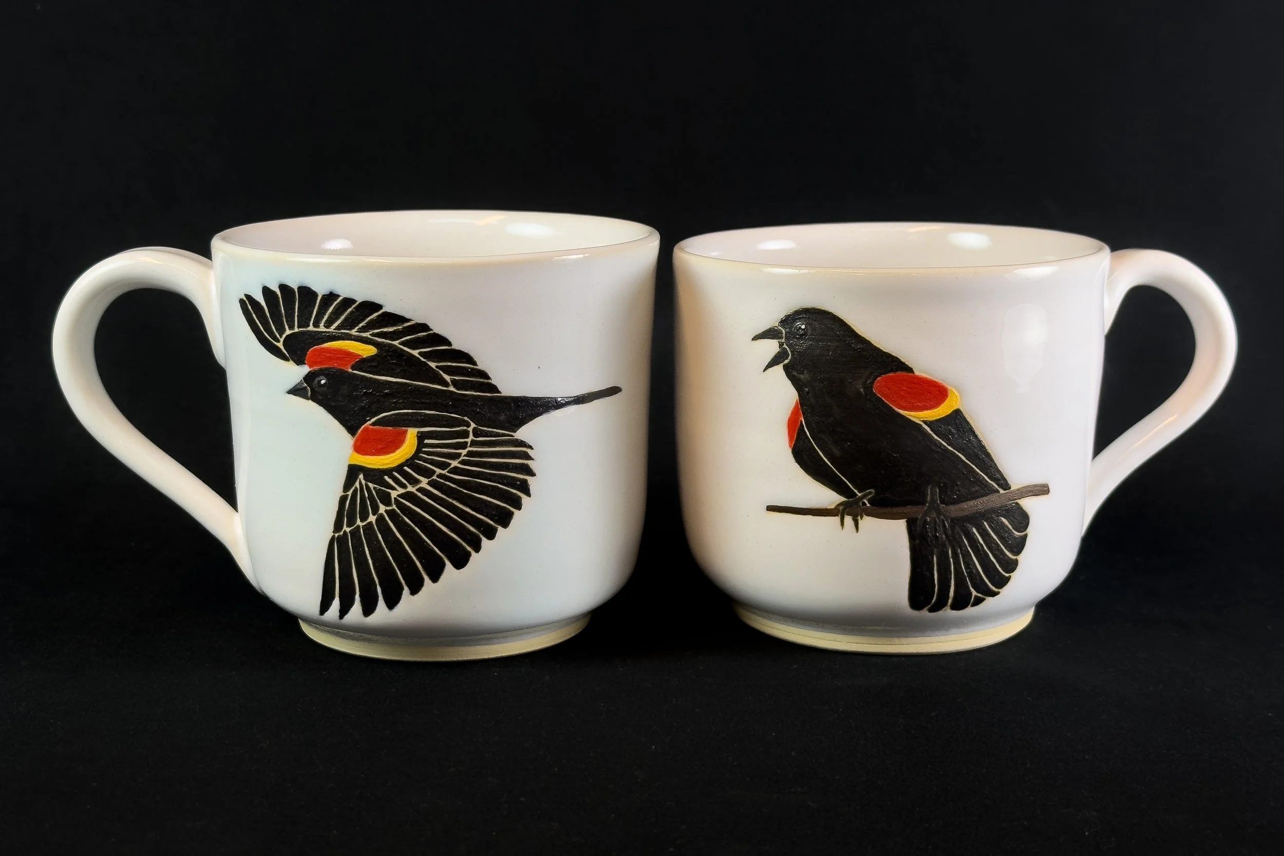 Red-Wing Blackbird - Eve Chenu.jpg