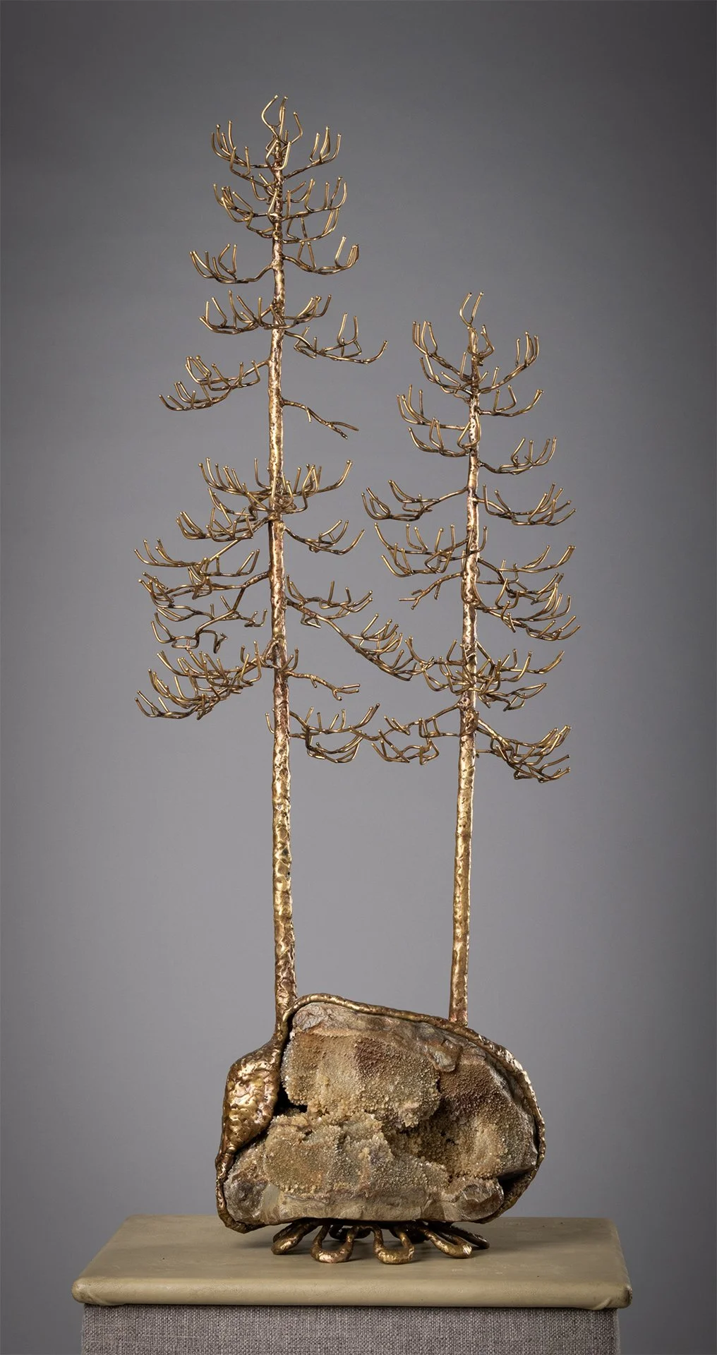 02_DouglasFirDuo_Front_SM_2025 ZAPP - Sandy Muckleroy.jpg