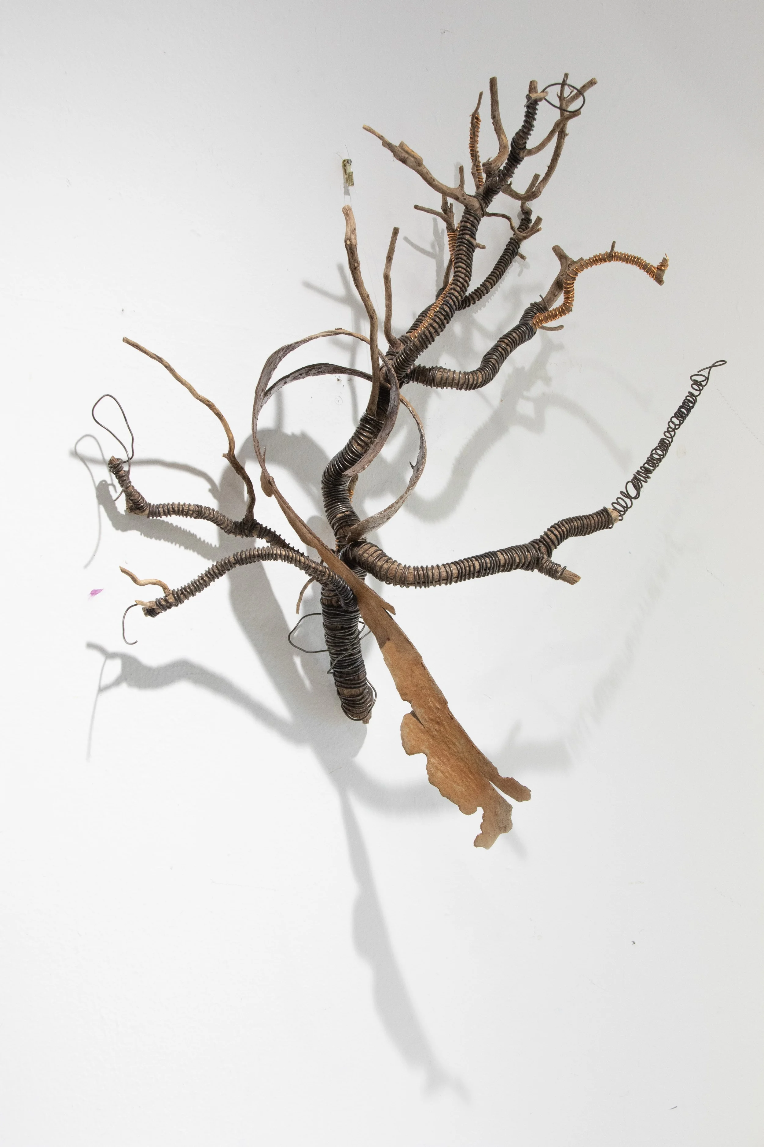 Shakti_Fusion_4909_L copy - Shakti Sarkin.jpg