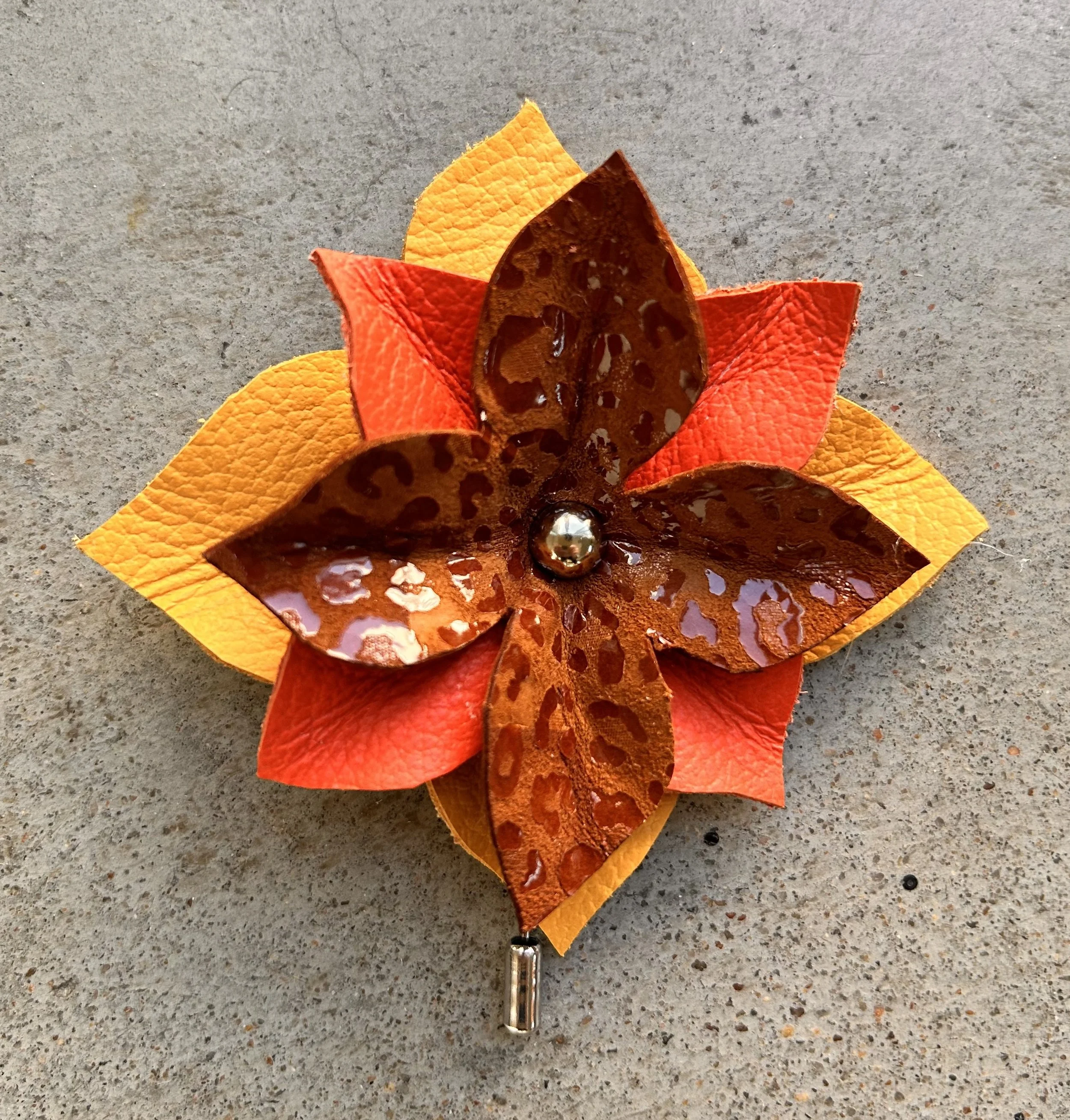 IMG_6424 - Julie Williams.jpeg