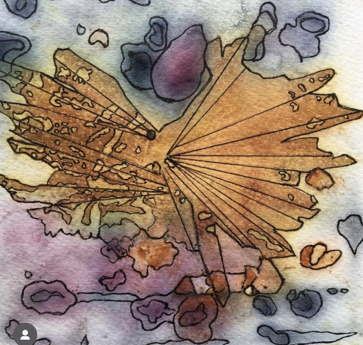 IMG_7172 - Julie Williams.jpg