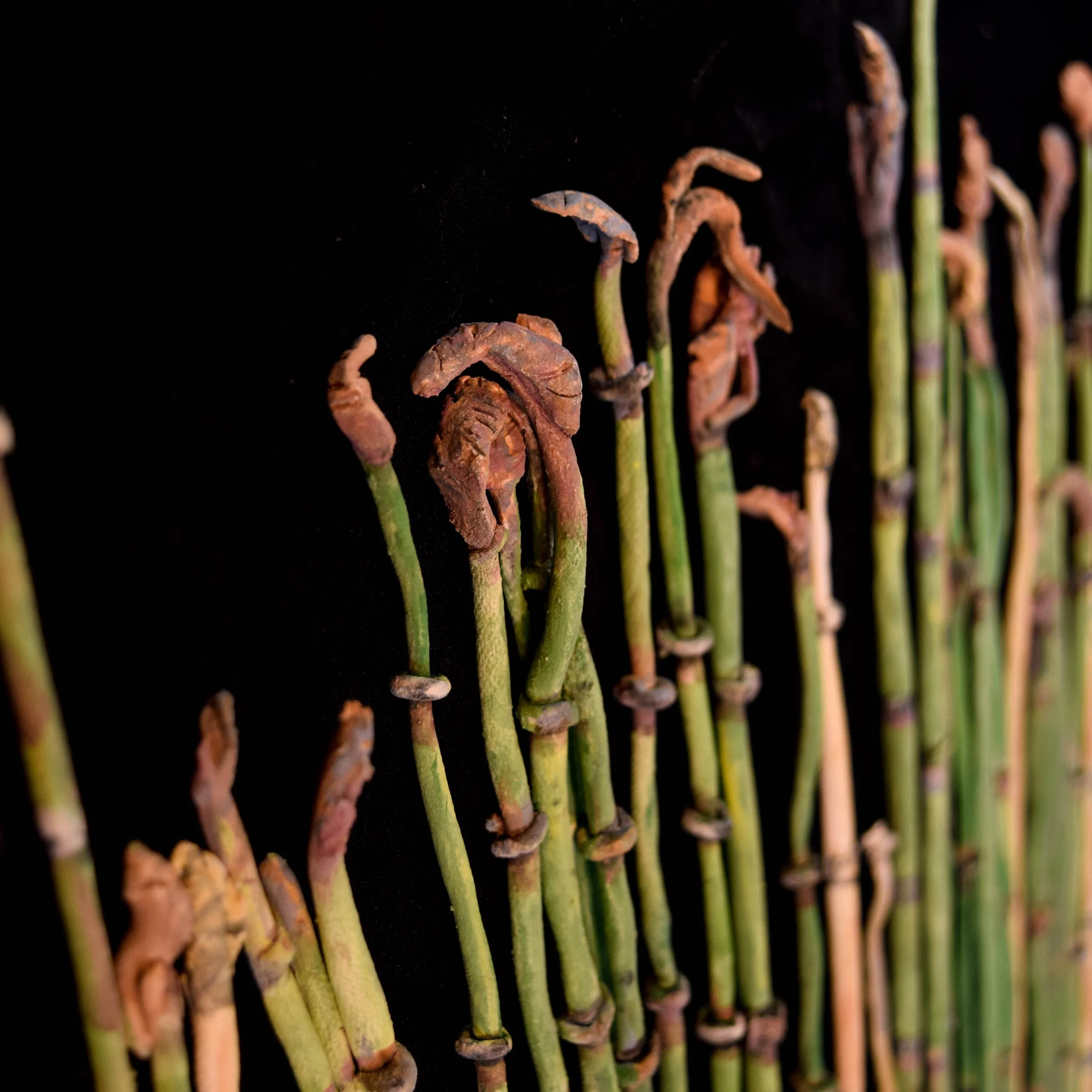 Jane_Eggers_Horsetails (closeup)_4 - Jane Eggers.jpg