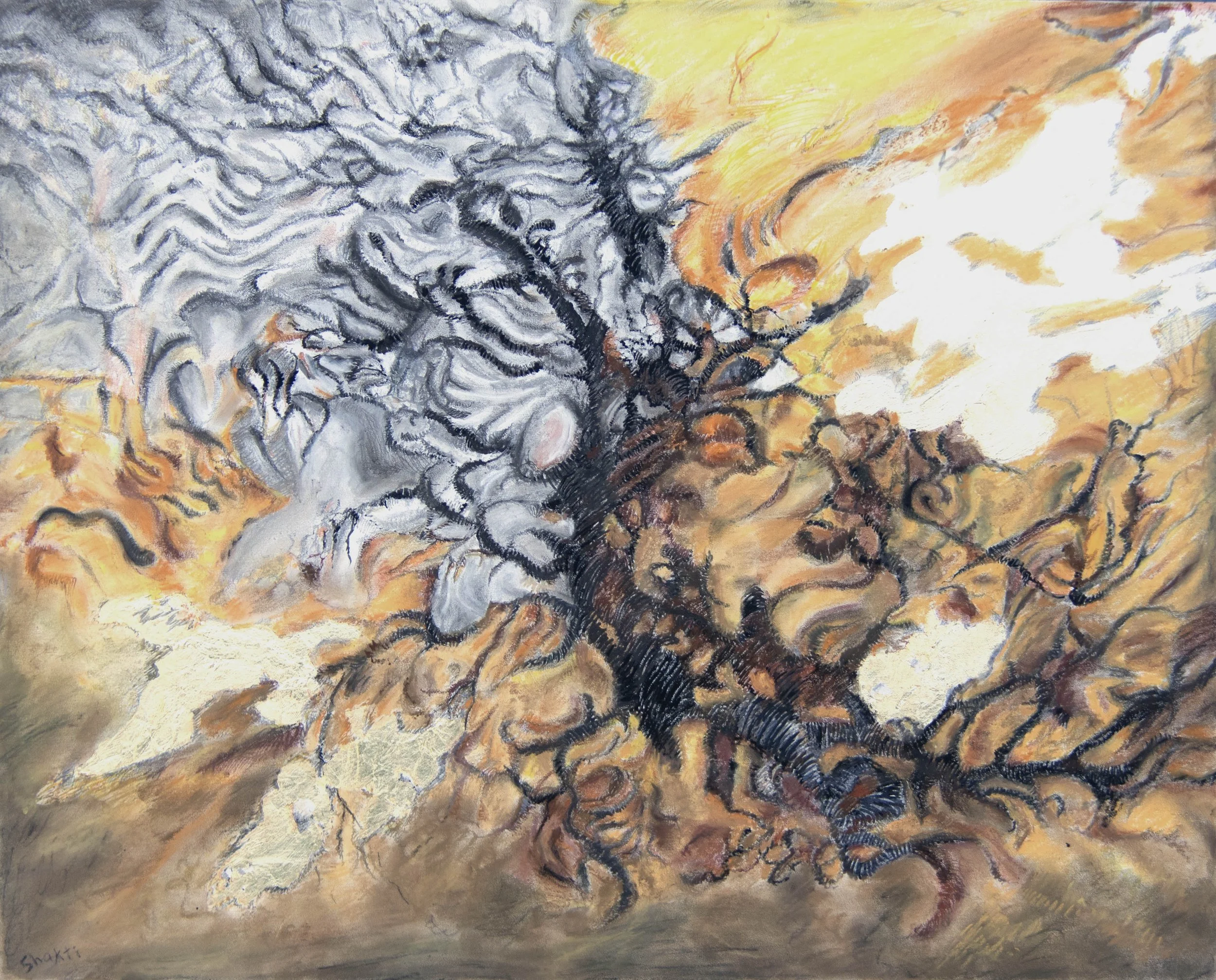 Shakti_Sun_s Power_4905_W copy - Shakti Sarkin.jpg