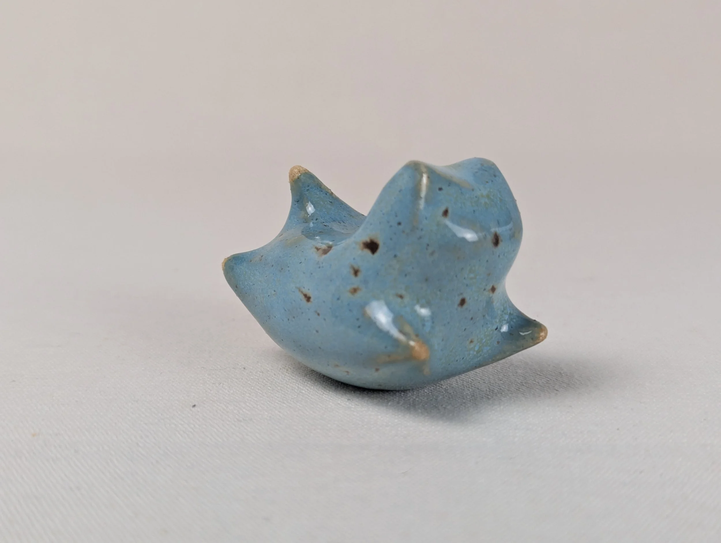 jumping cat - Clara Fonte Boa.jpg