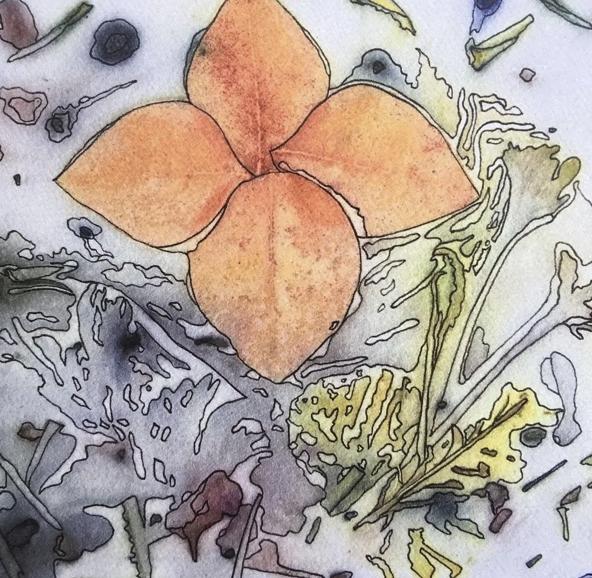 IMG_7173 - Julie Williams.jpeg