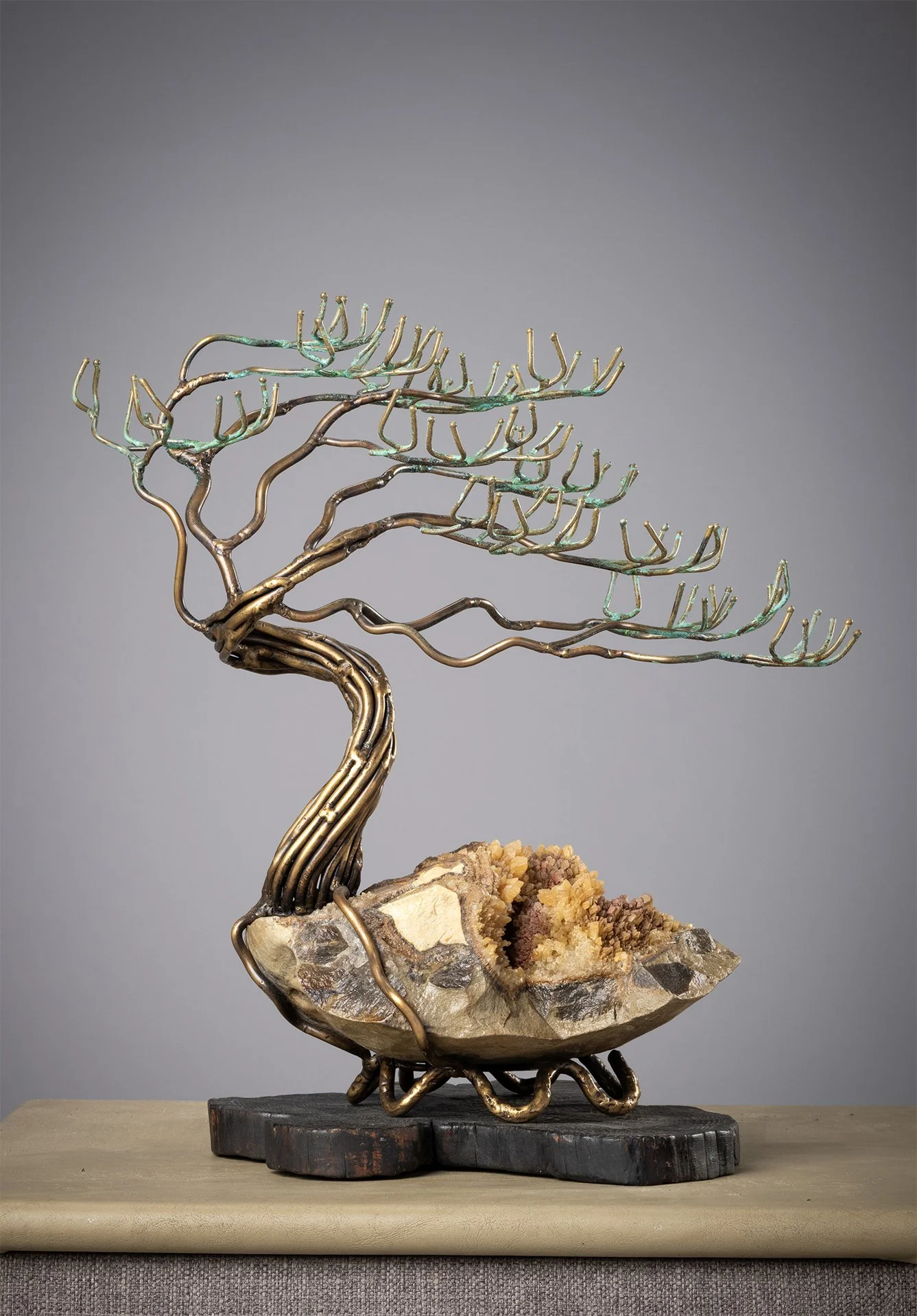 04_WindsweptJuniper_SM_2025_ZappCrop - Sandy Muckleroy.jpg