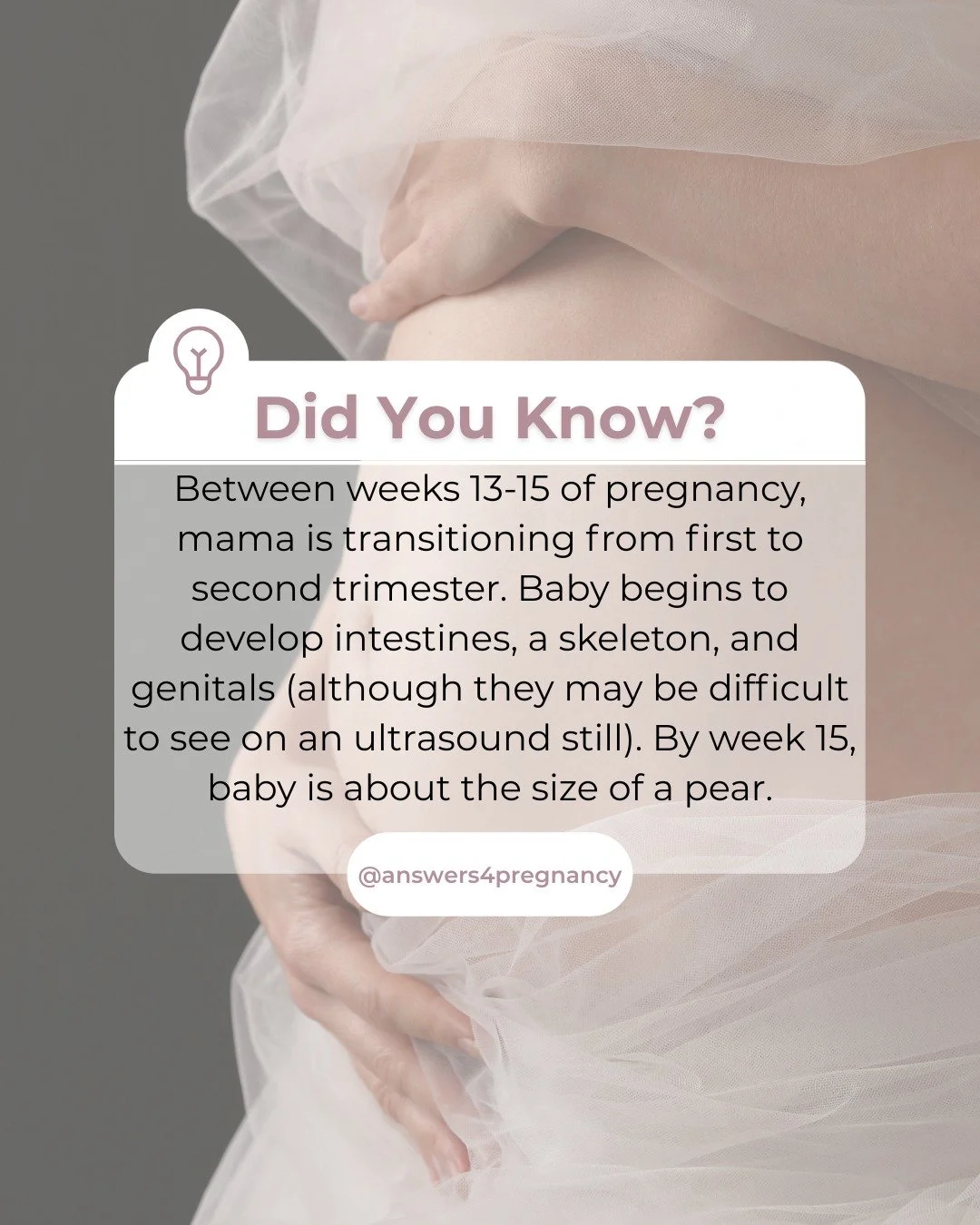 Baby is growing fast and will soon have eyes, ears, and developing vocal cords to communicate after 25 more weeks in the womb!

Good job, Mama! you made it through the first trimester!🌸

Read more about baby development week by week: https://www.wha
