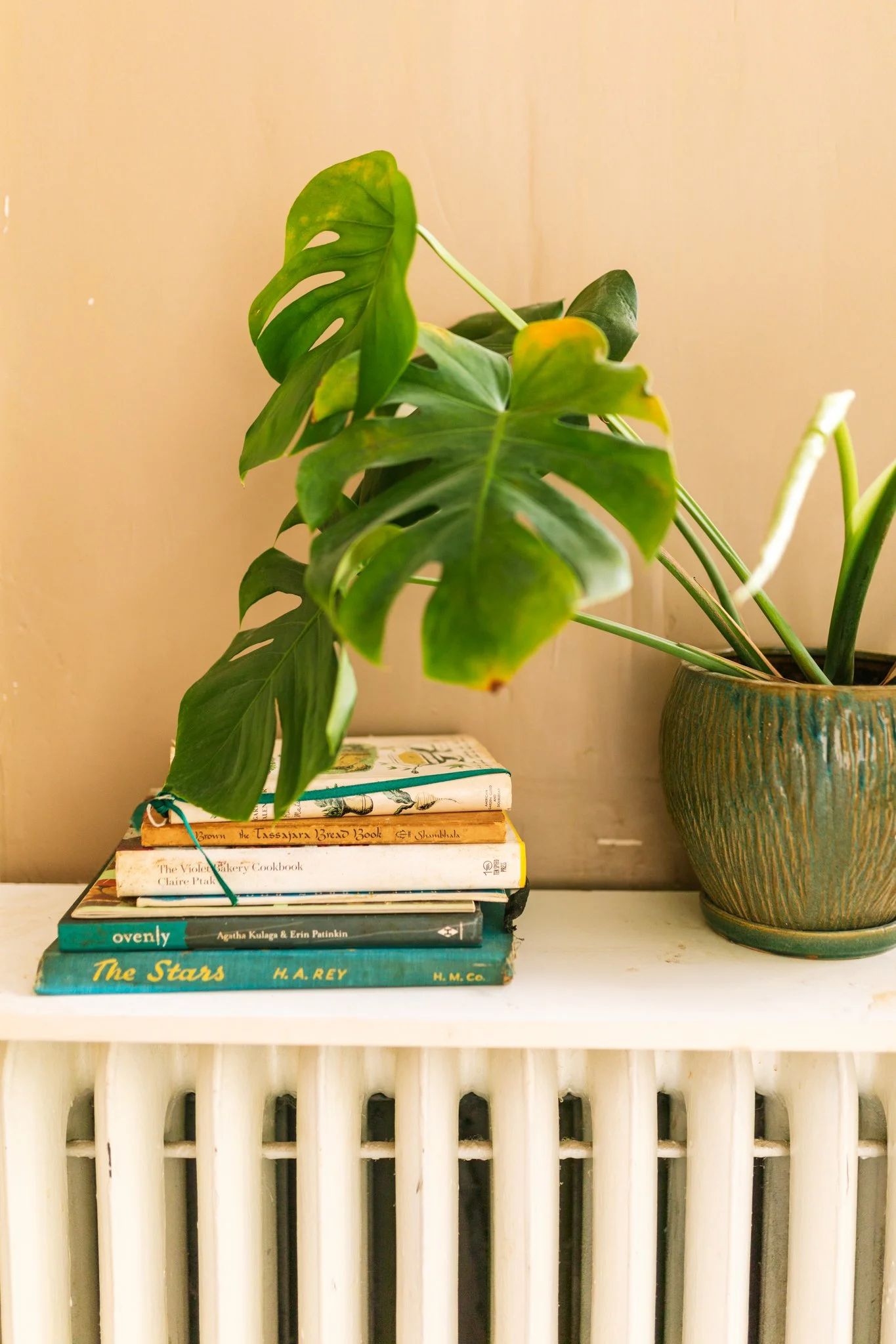 interior of little coco with stack of books on radiator and monstera