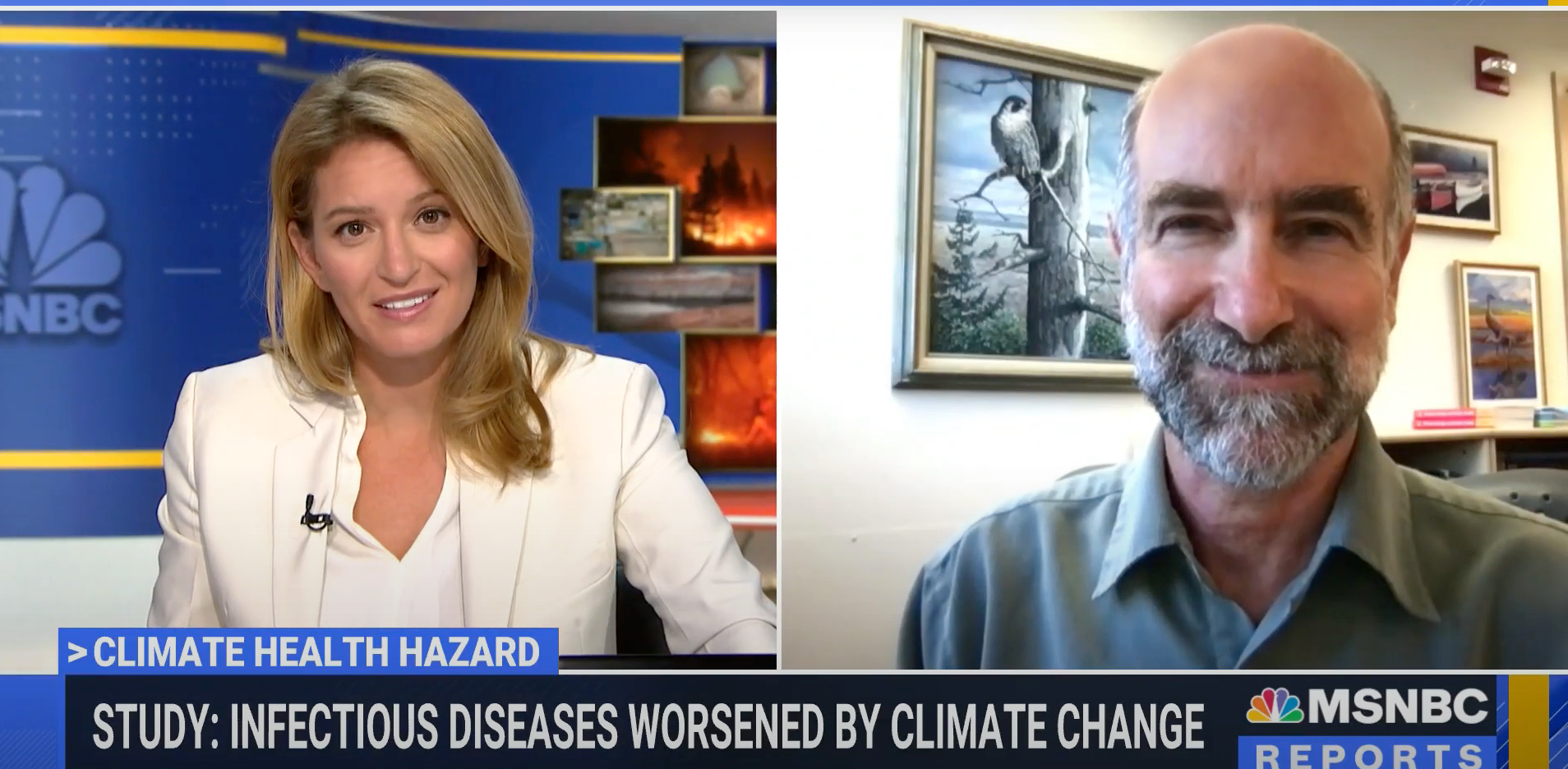 Katy Tur of MSNBC Interviewed Jonathan Patz about Pathogenic Diseases Worsened by Climate Change