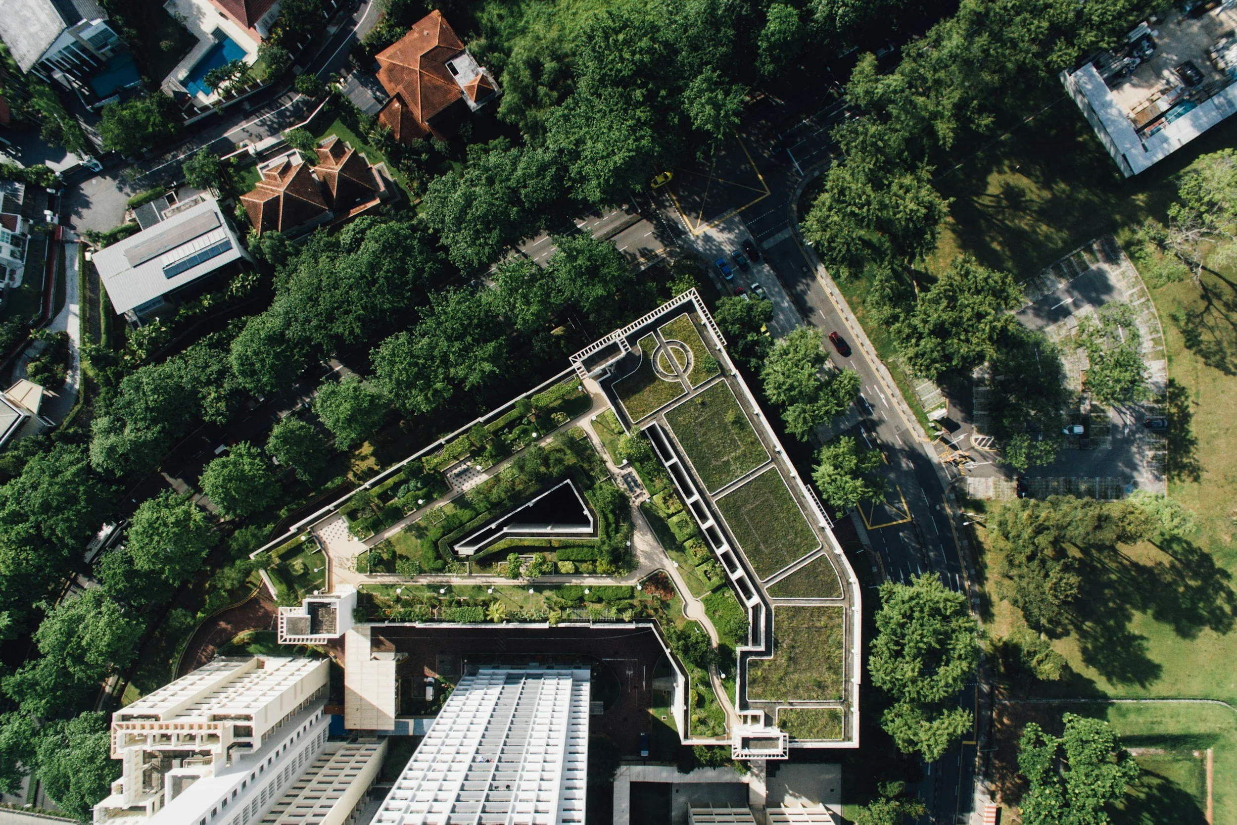 Aerial view of rooftop garden