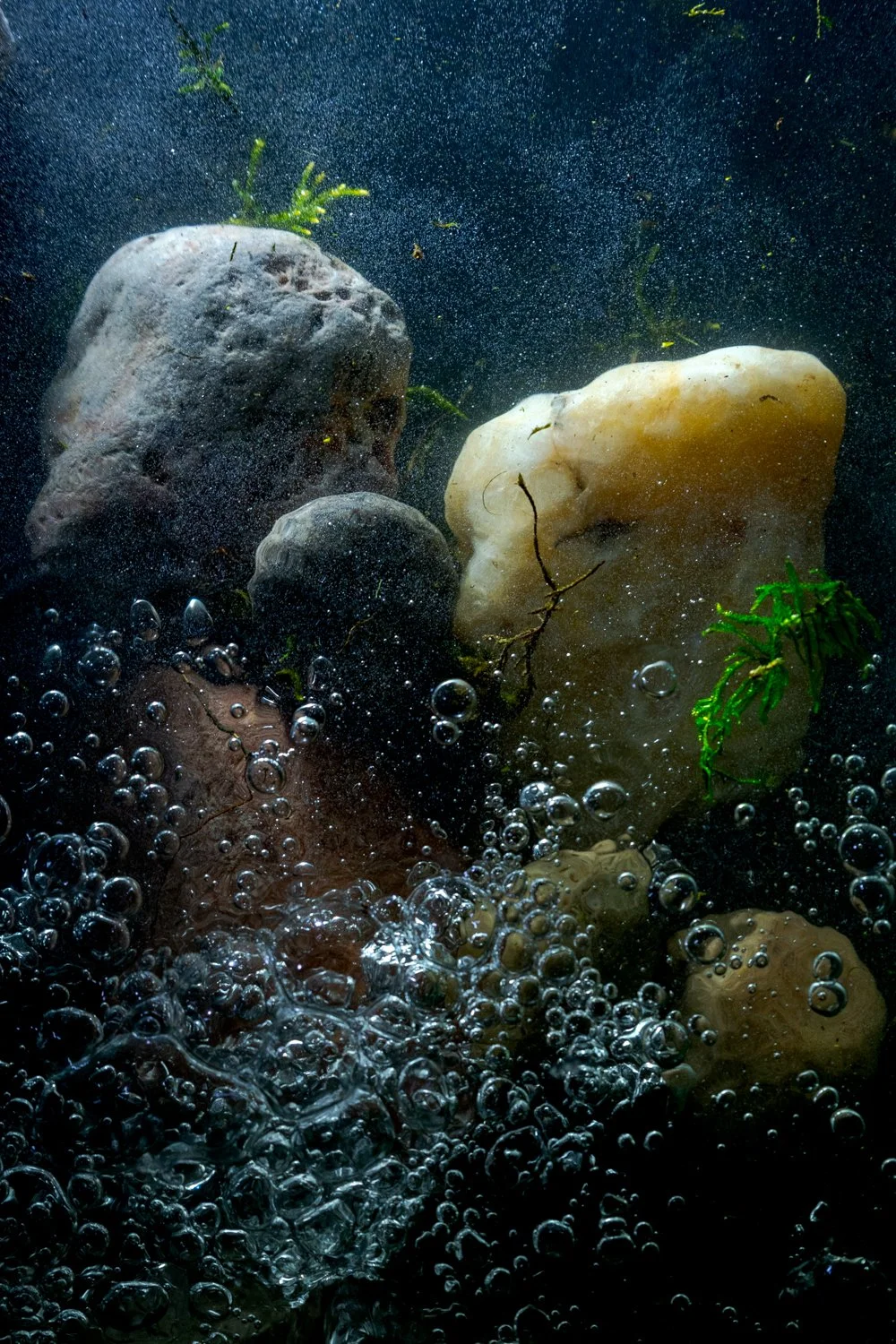 Submerged, 2023