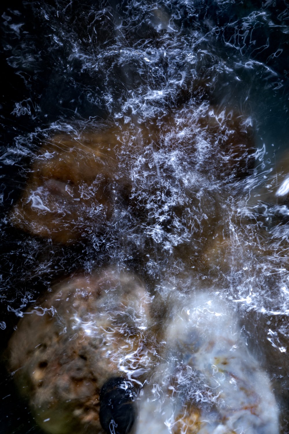 My Own Ocean, 2023