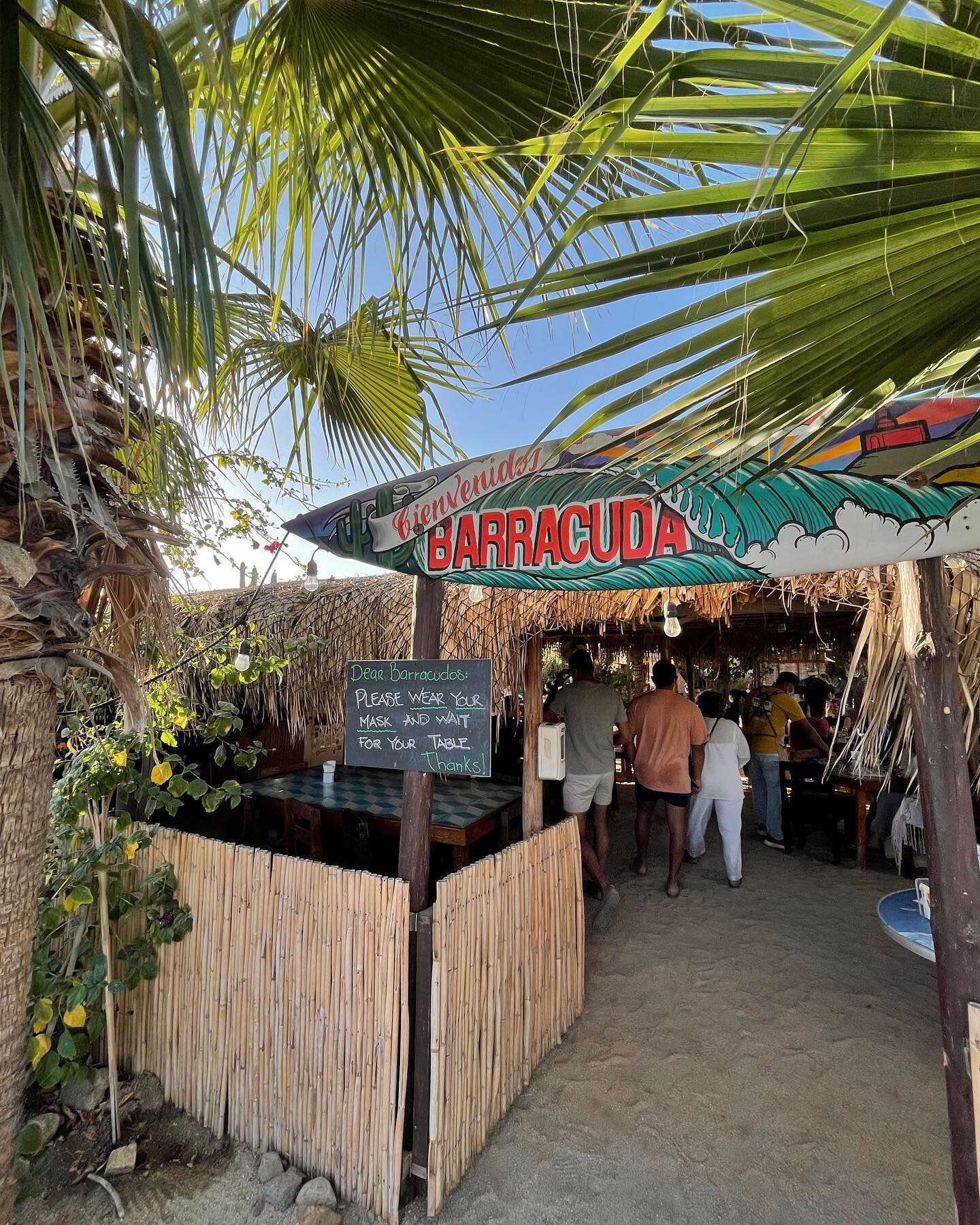 @barracudacantina hands down the best tacos at Cerritos Beach 🌊.

Great food and an even better vibe!

Ready to start living the Baja life?
✉️ Msherman@ronival.com
🌐Mark.findmexicohouses.com
📲+52 612 143 3316
.
.
#todossantos #cerritosbeach #pesca