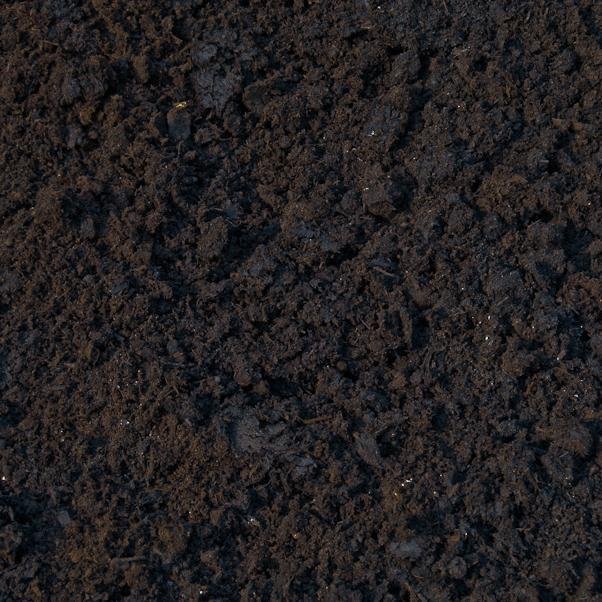 loam.jpeg