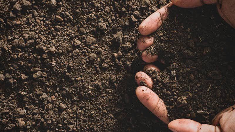 Super-Loam.jpg