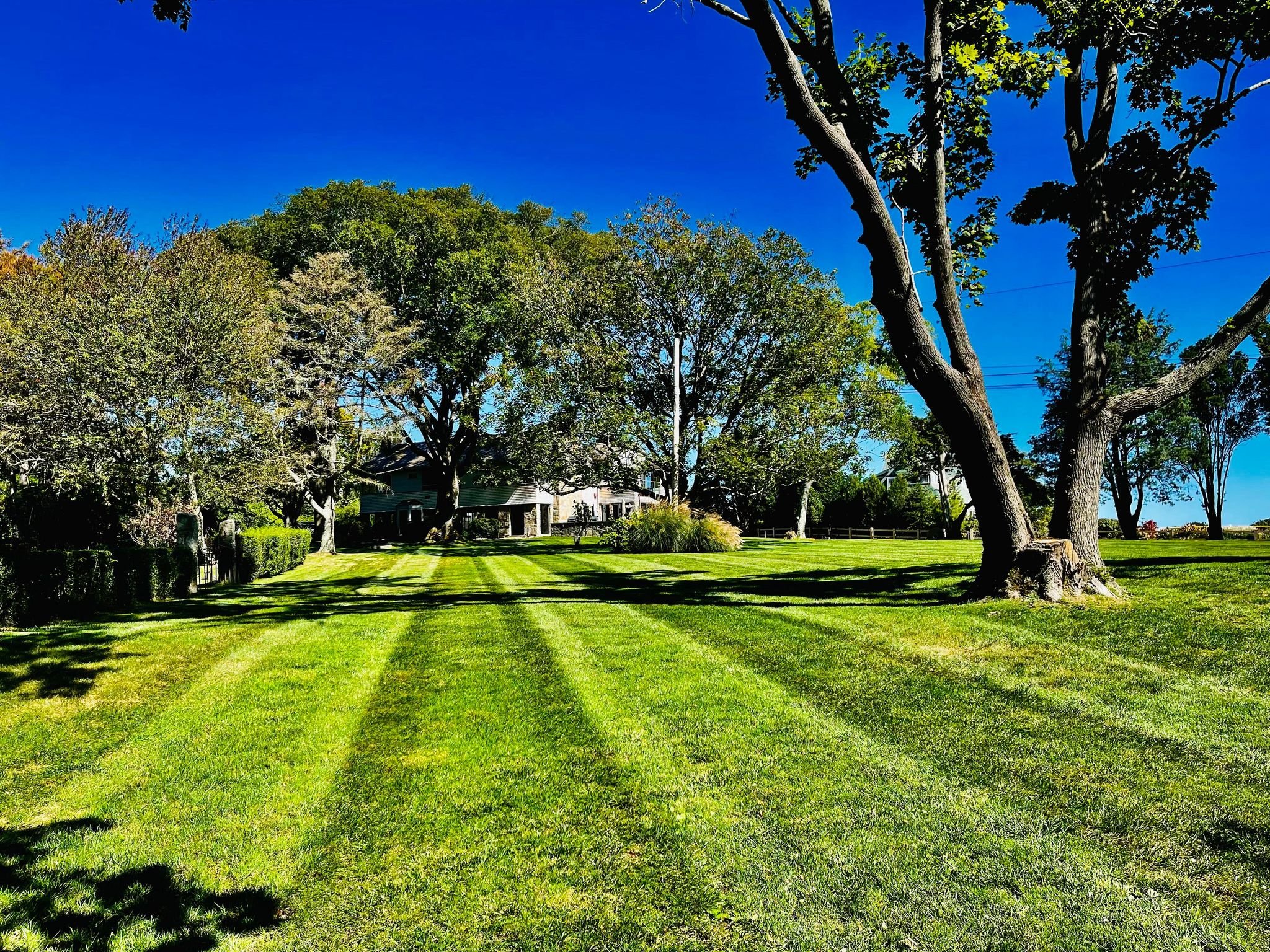 Bayscape Landscaping & Construction