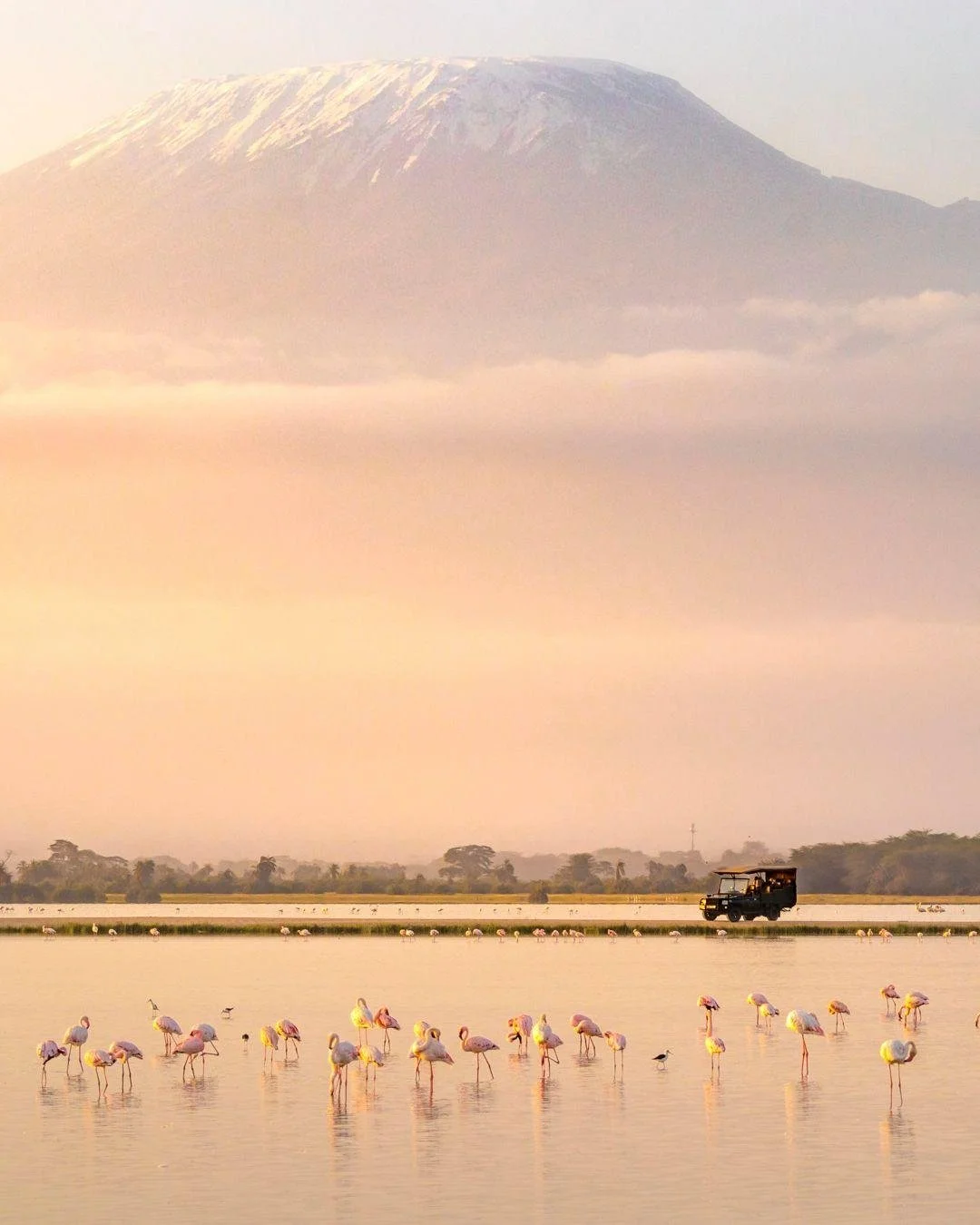 There is no single best safari. There's only the one that fits how you travel.

The Big Five are still the reference point most people use, but safaris have come a long way. Conservation reserves, astro-safaris, gorilla trekking, water-based explorin