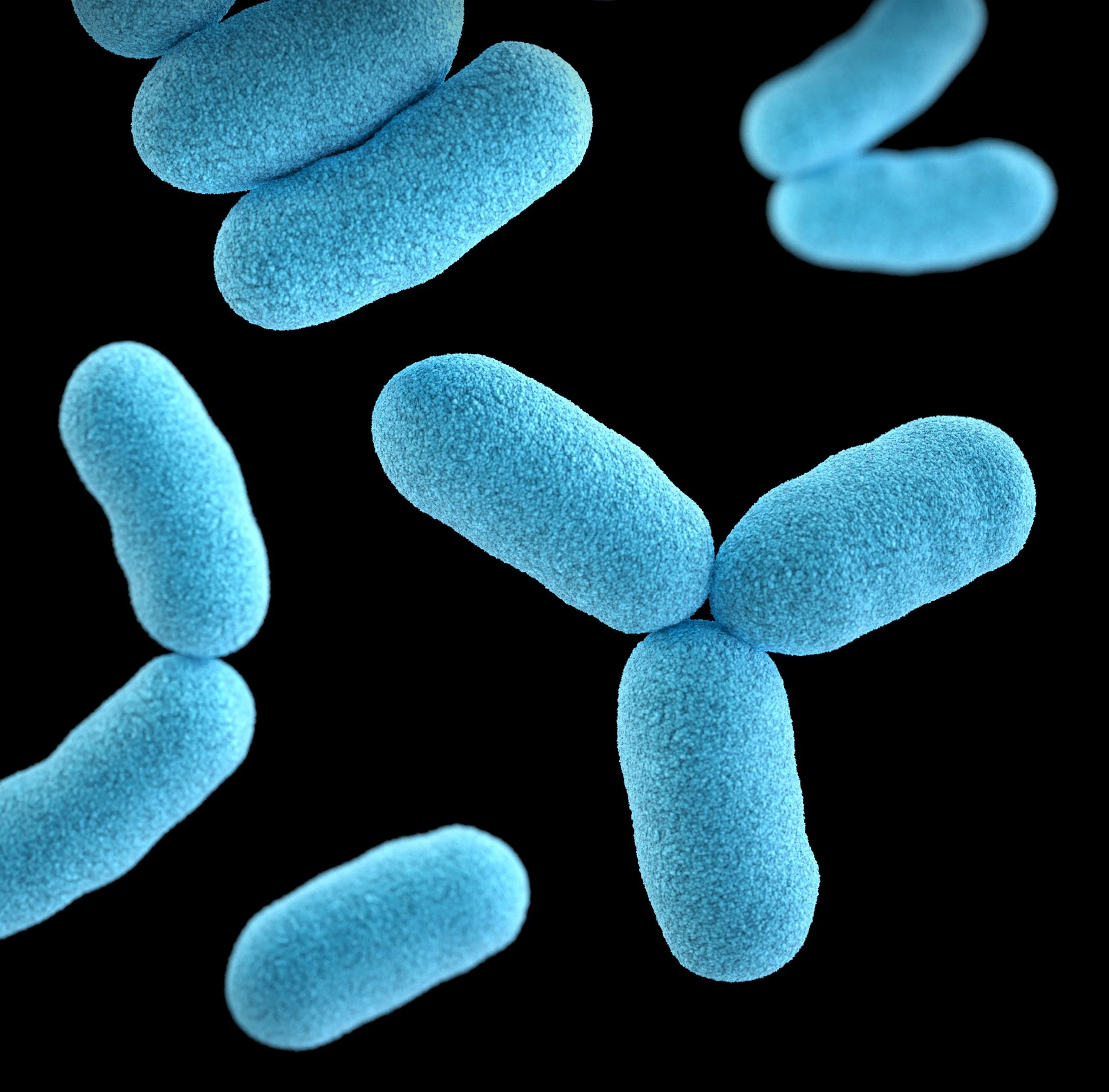 How eating tiny microbes may help you feel better