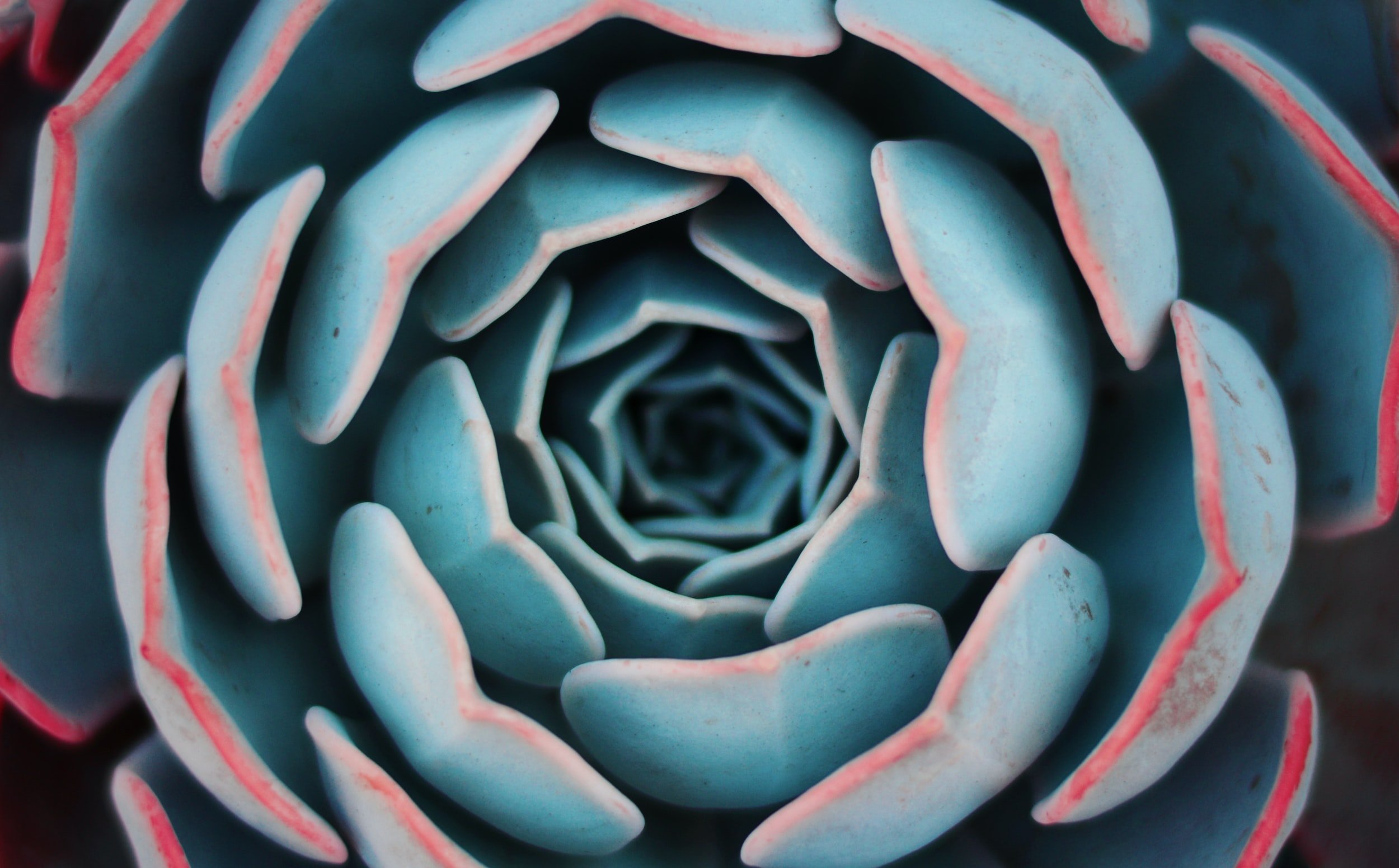 Therapeutic Order: What it is, why you should care