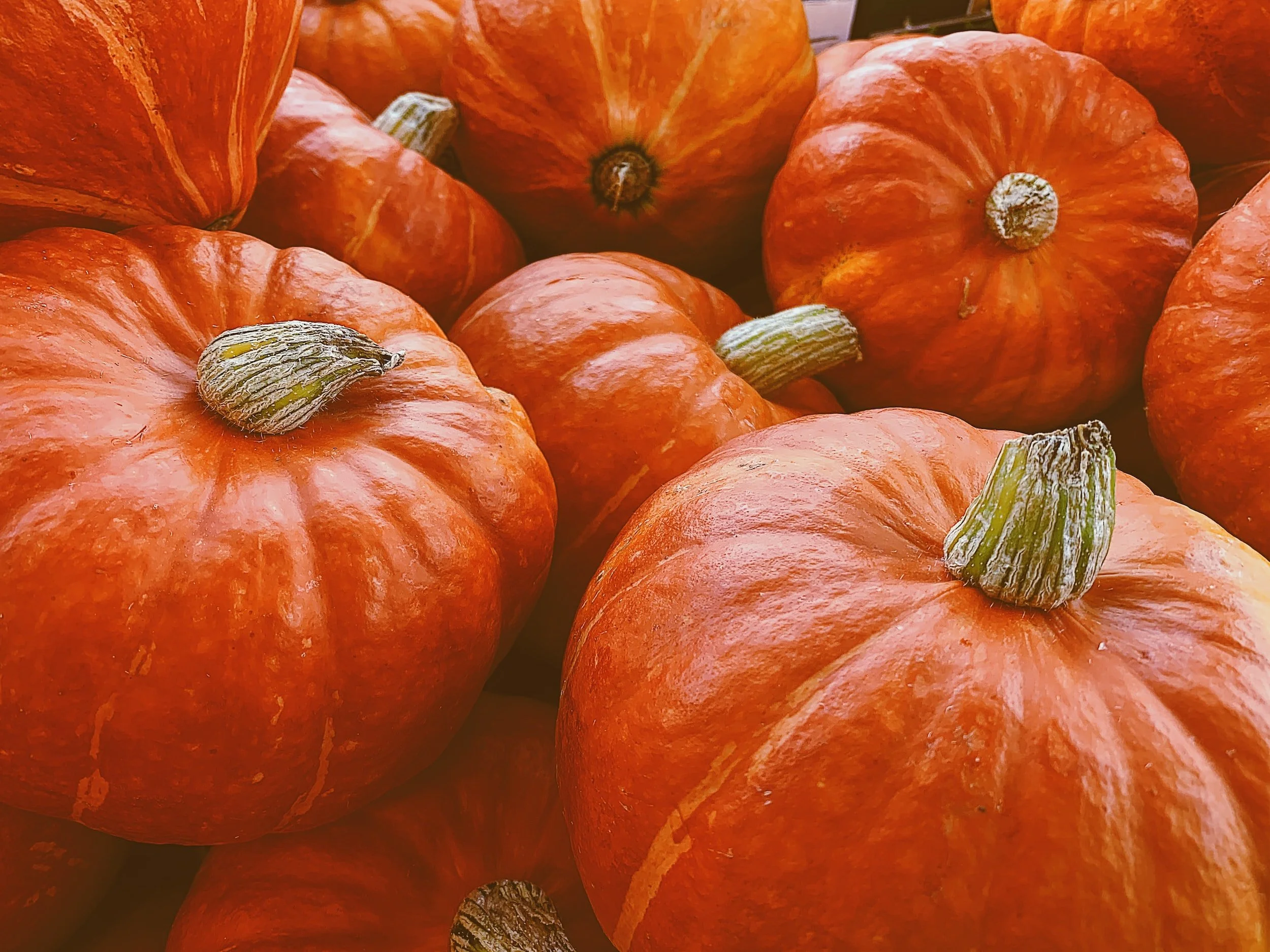 Pumpkin spice: a brilliant herbal remedy hiding in plain sight