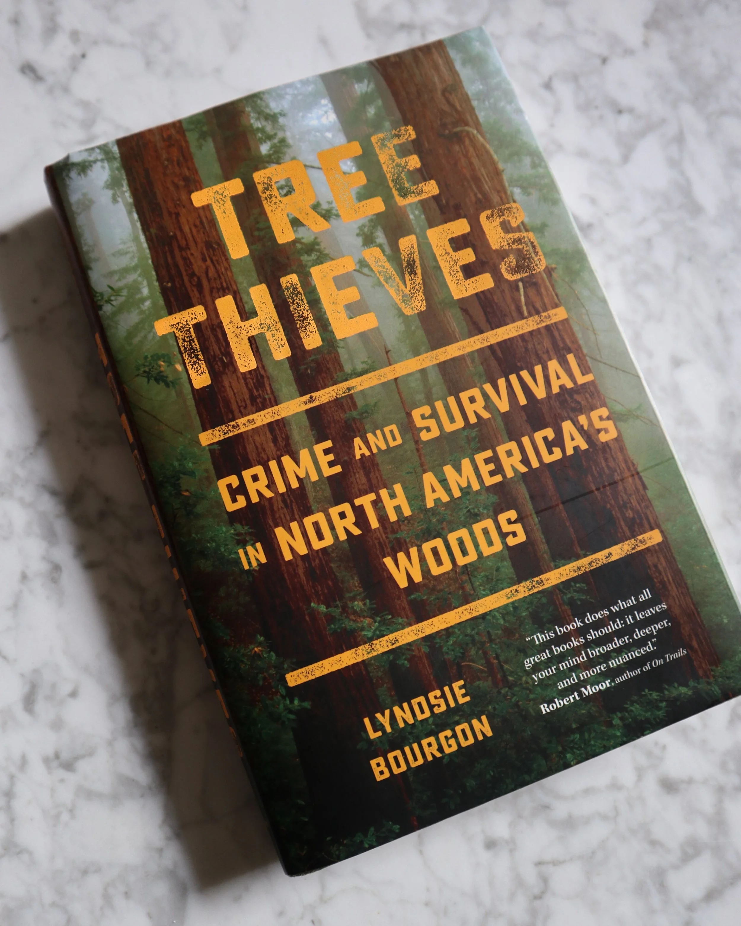 Tree Thieves Crime and Survival in North America's Woods — LYNDSIE BOURGON