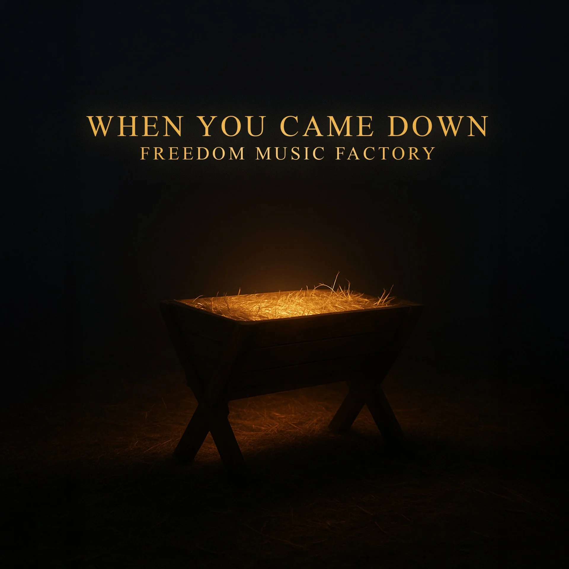 When You Came Down - Digital Download