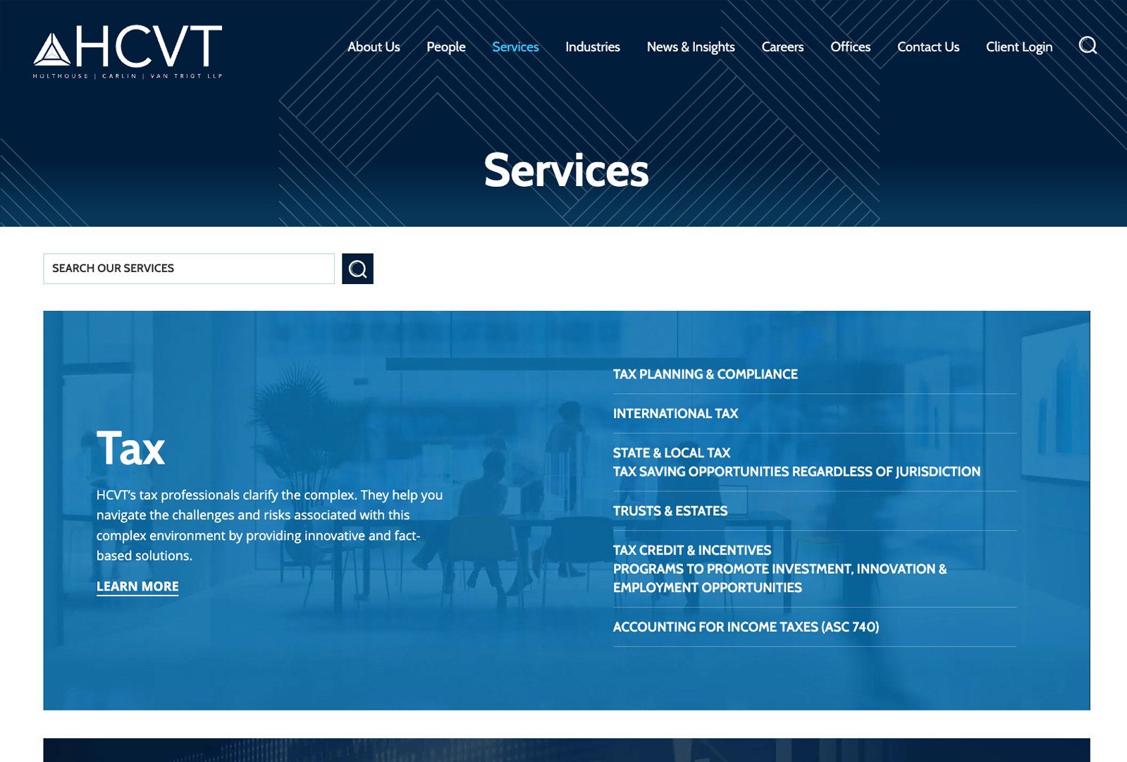 HCVT services page layout showing detailed service categories with clean blue sections and tab navigation.