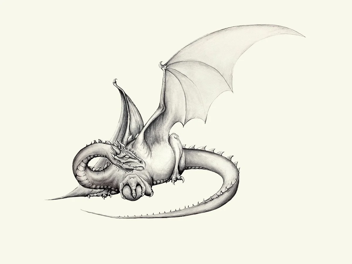 Pencil drawing by Tara Goetz of a dragon with an orb, curved tail, and outstretched wings.