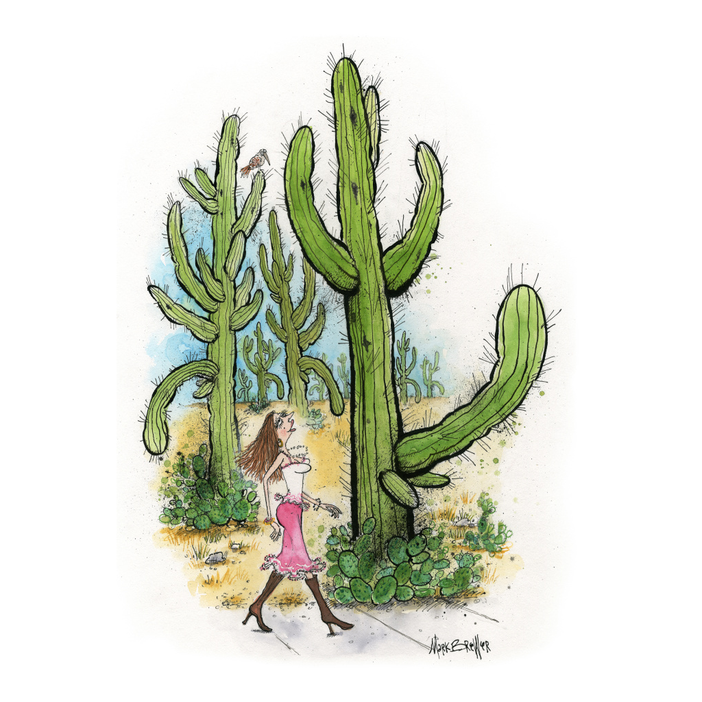 Cactus Erectus - Print  Mark Brewer, Illustration
