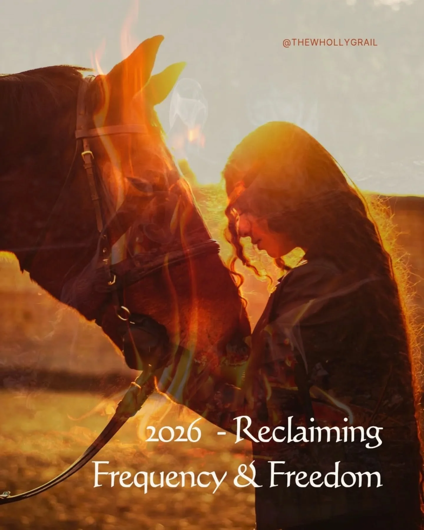 2026 Year of the Fire Horse is here

A new 9-year cycle begins 

It is not a year to simply fire ahead, grab the reigns, and gallop forth &ndash; the momentum will shift, 
the potential for change and transformation is imminent &ndash; however, if