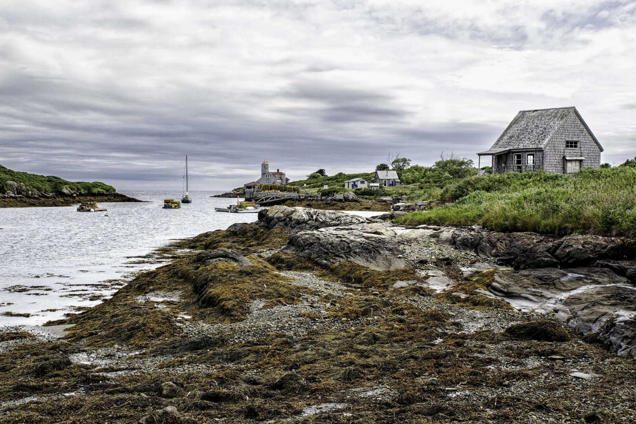 Front harbor
