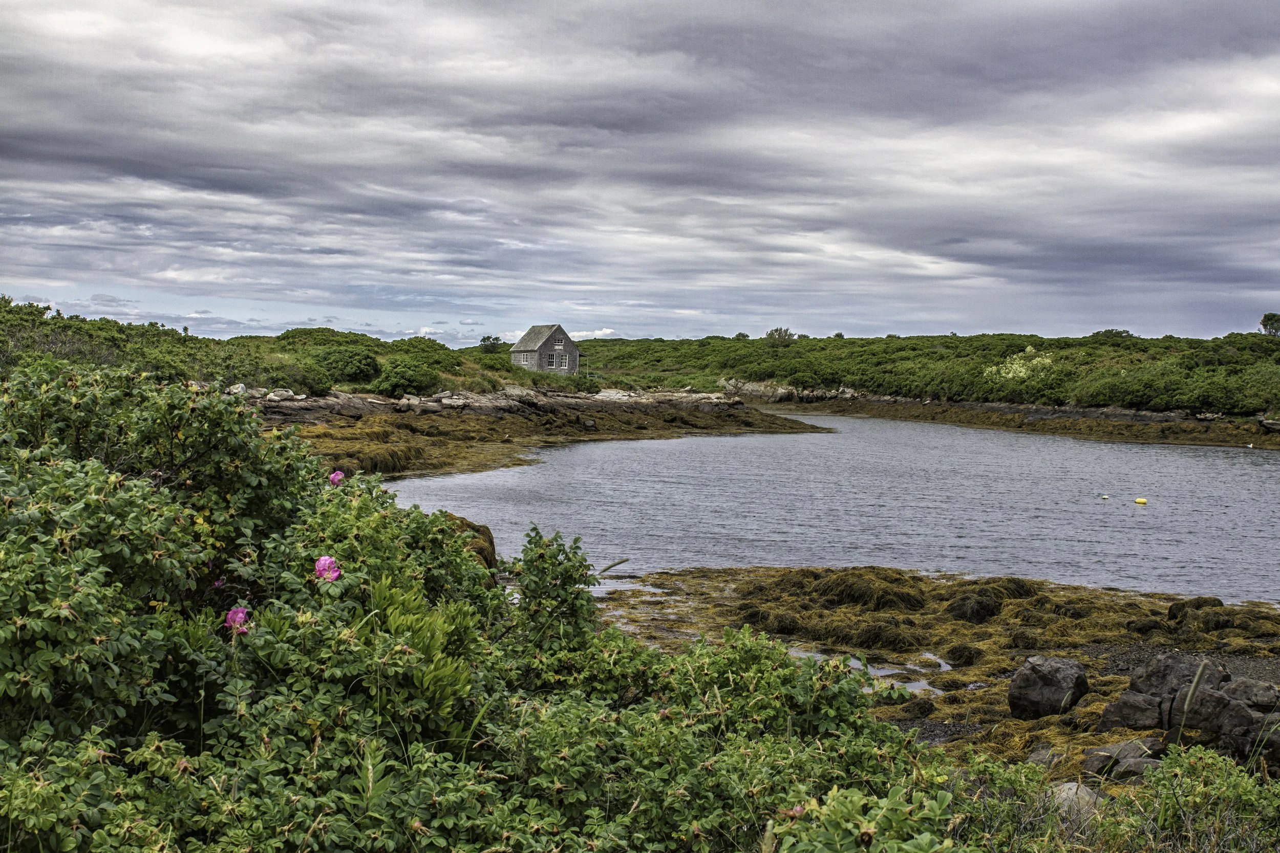 back of the harbor