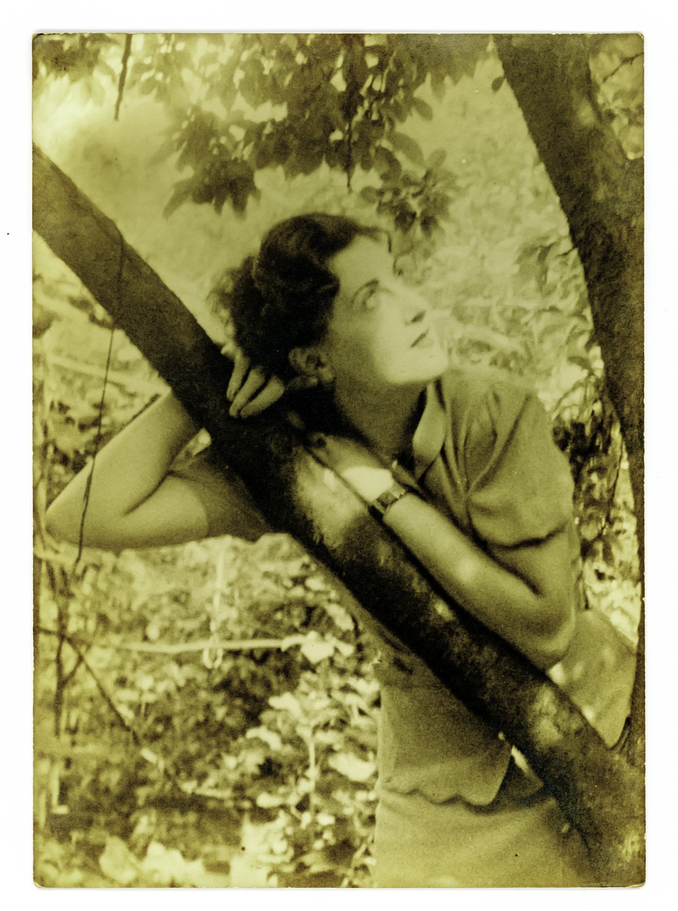 Nola's Mom; I merely preserved it.
