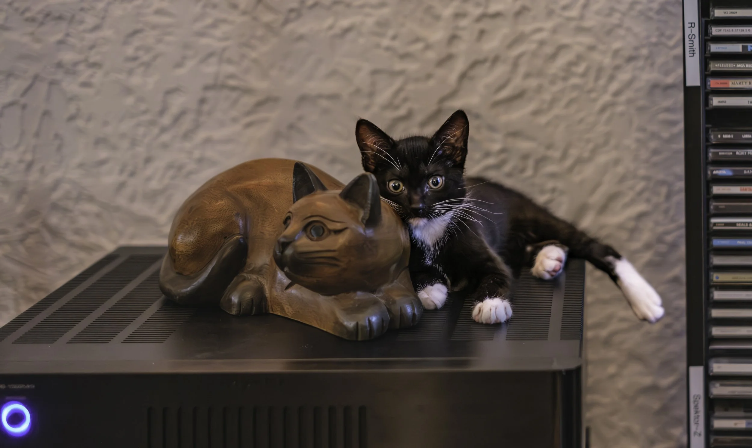 Ruby and "Woody"
