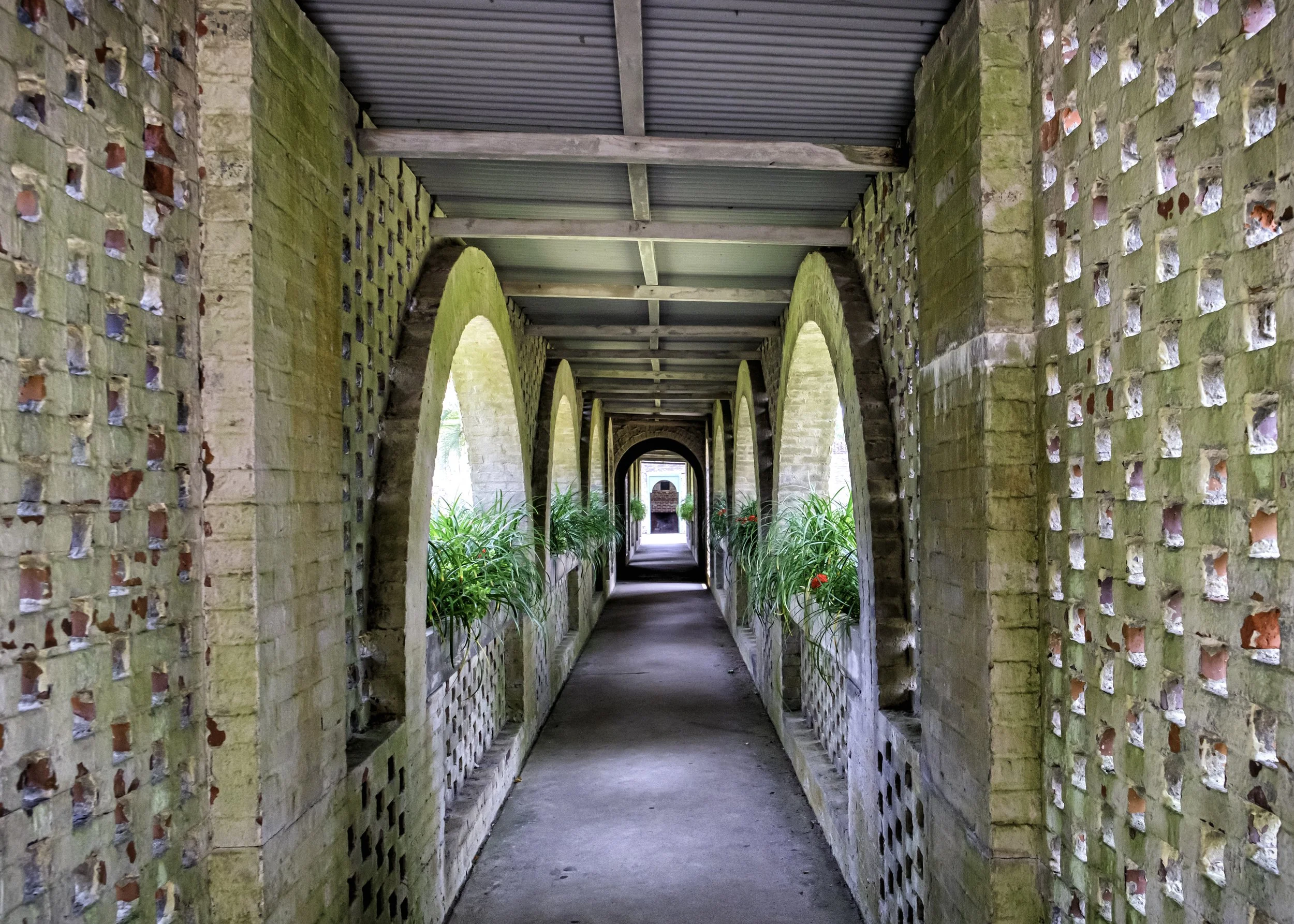 mid walk facing east.jpg