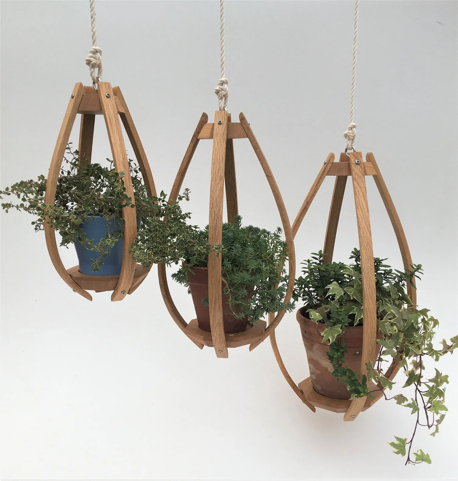 Steam Bent Oak Hanging Planter  Baycraft Studio