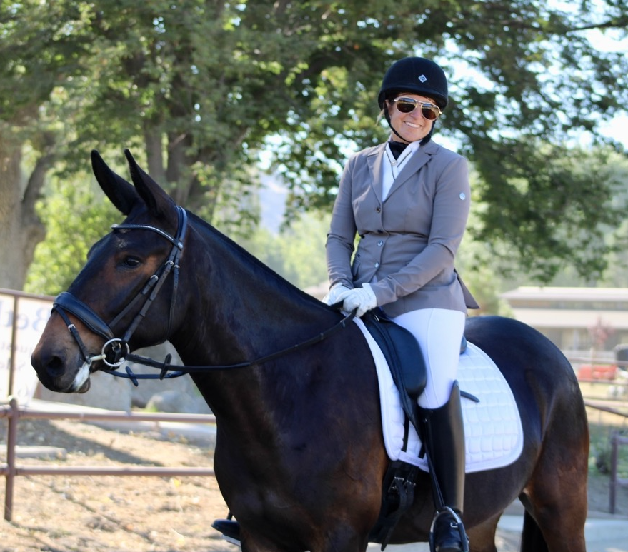 dressage page.png