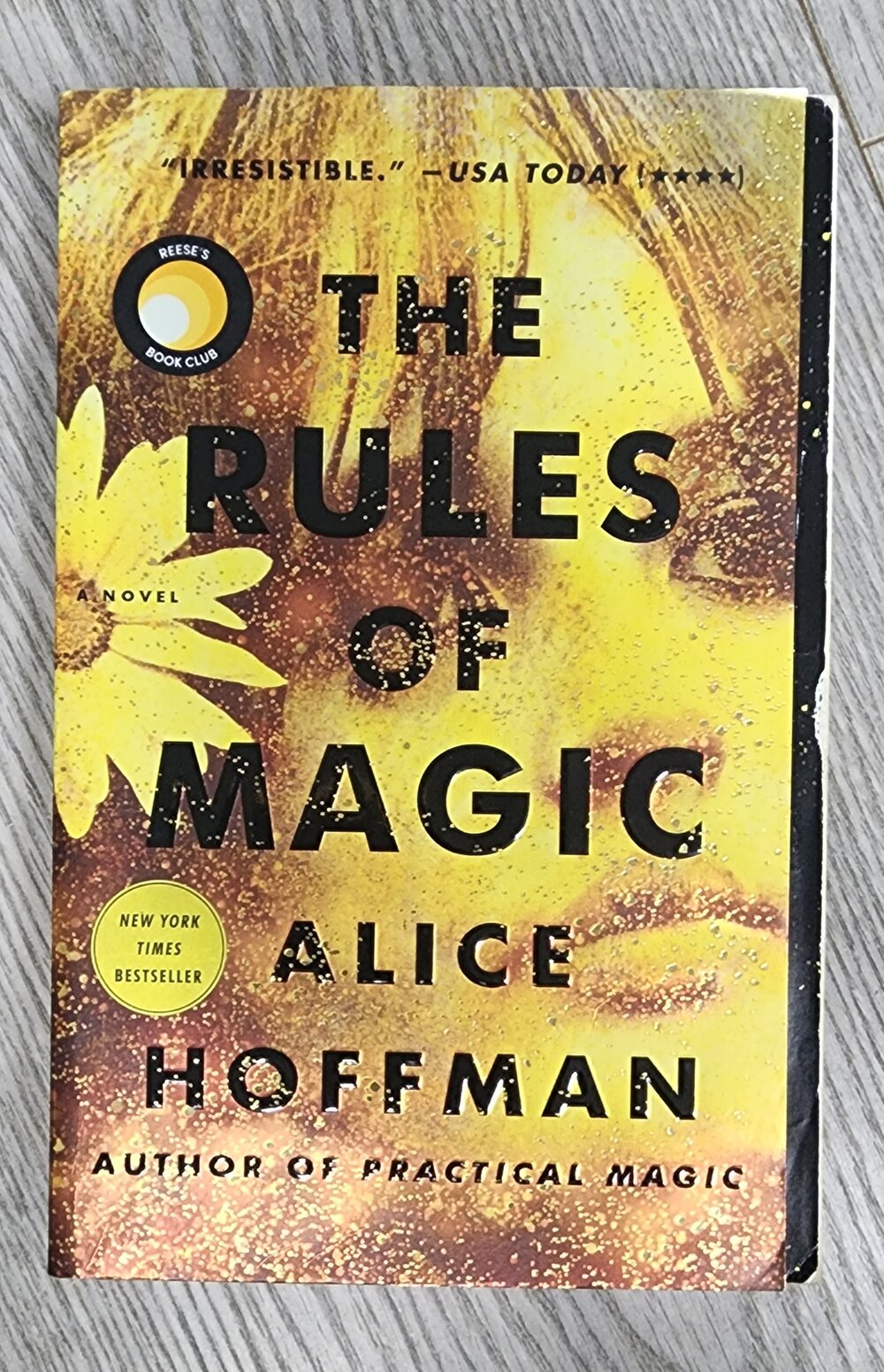 The Rules of Magic: A Novel [Book]