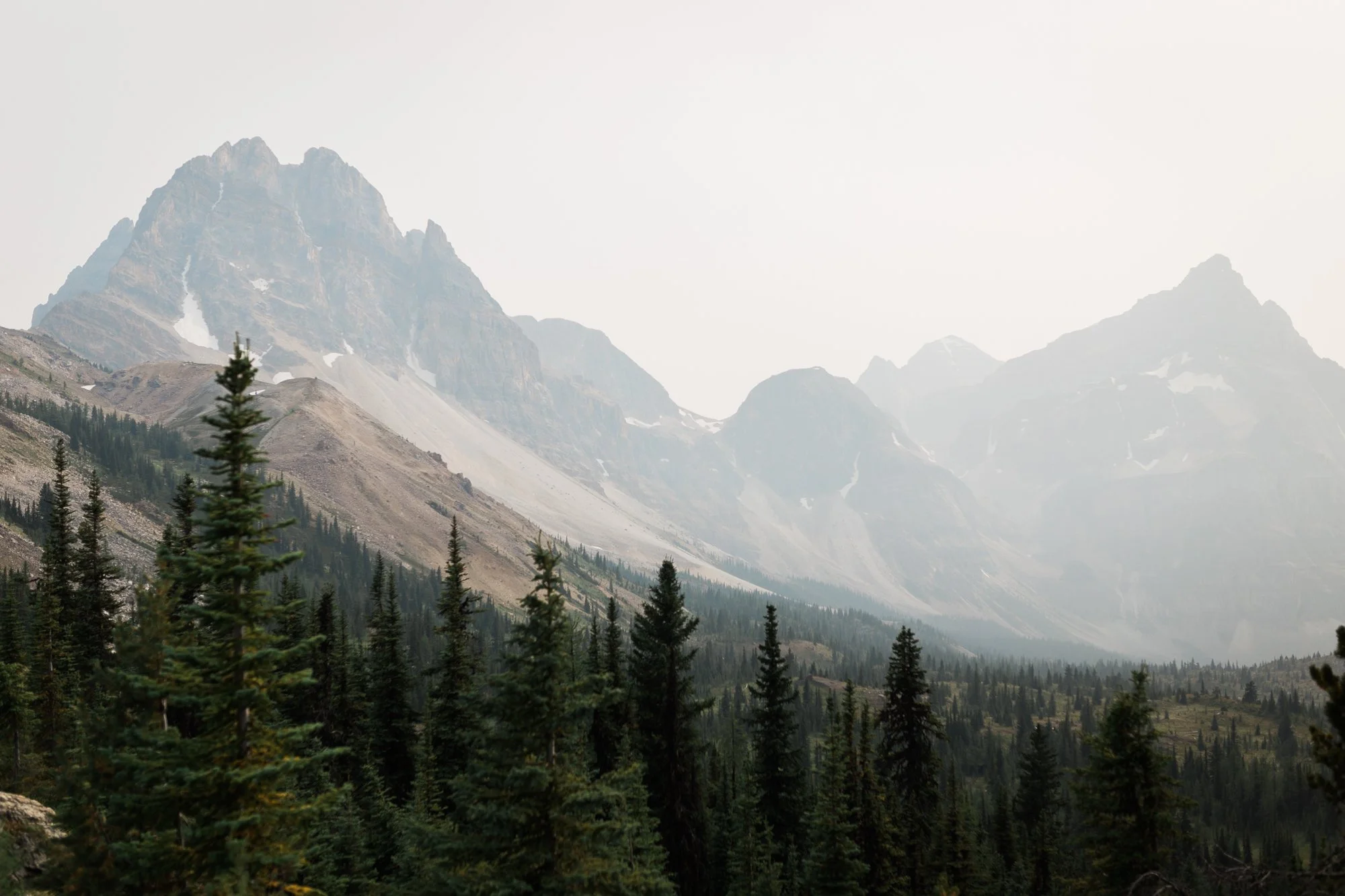 Deanna-Rachel-Photography-Canmore-Heli-Wedding-1.jpg